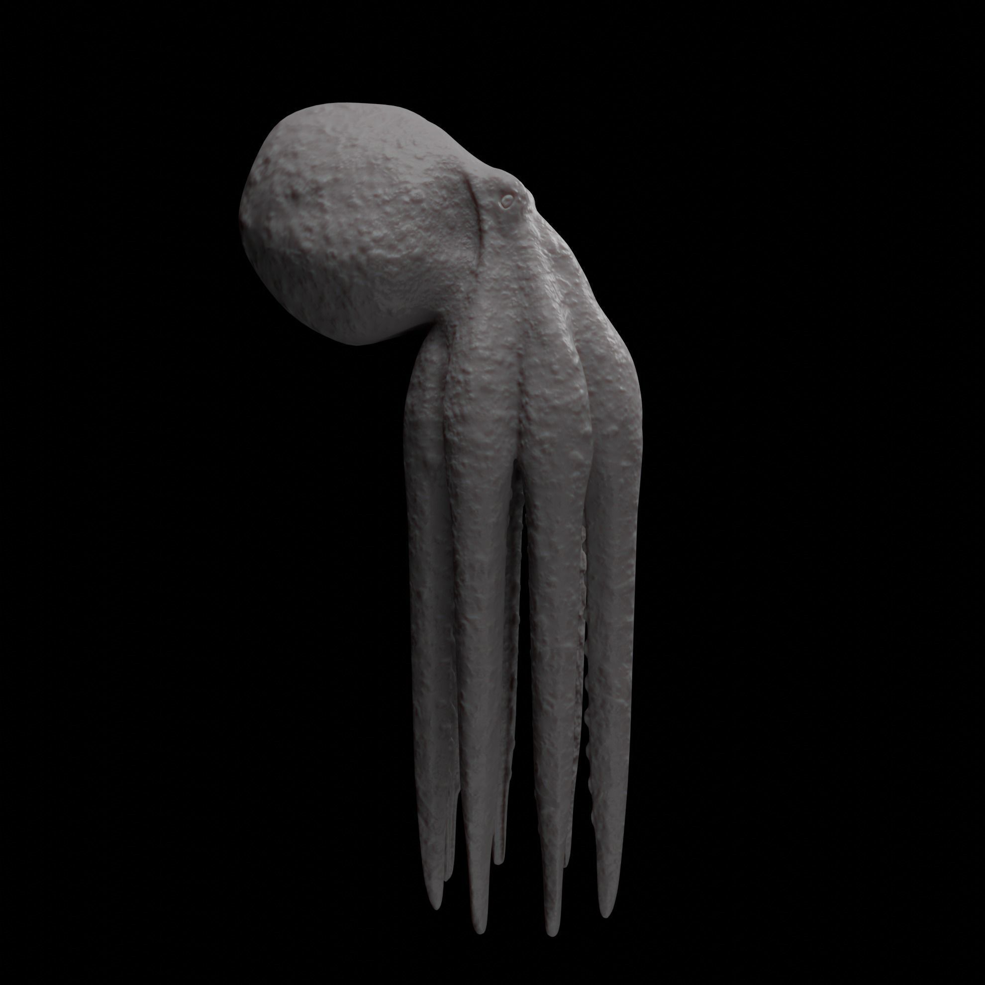 Animated Octopus 3D model_32