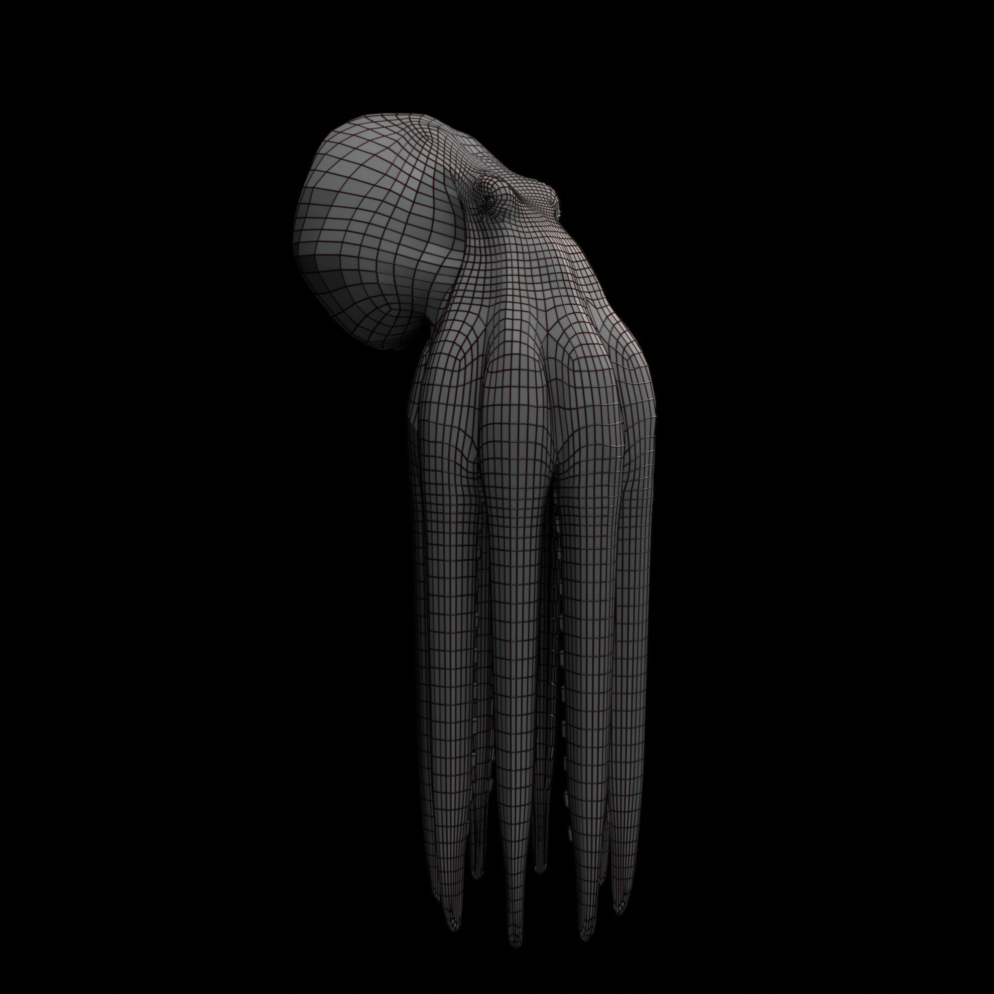 Animated Octopus 3D model_48