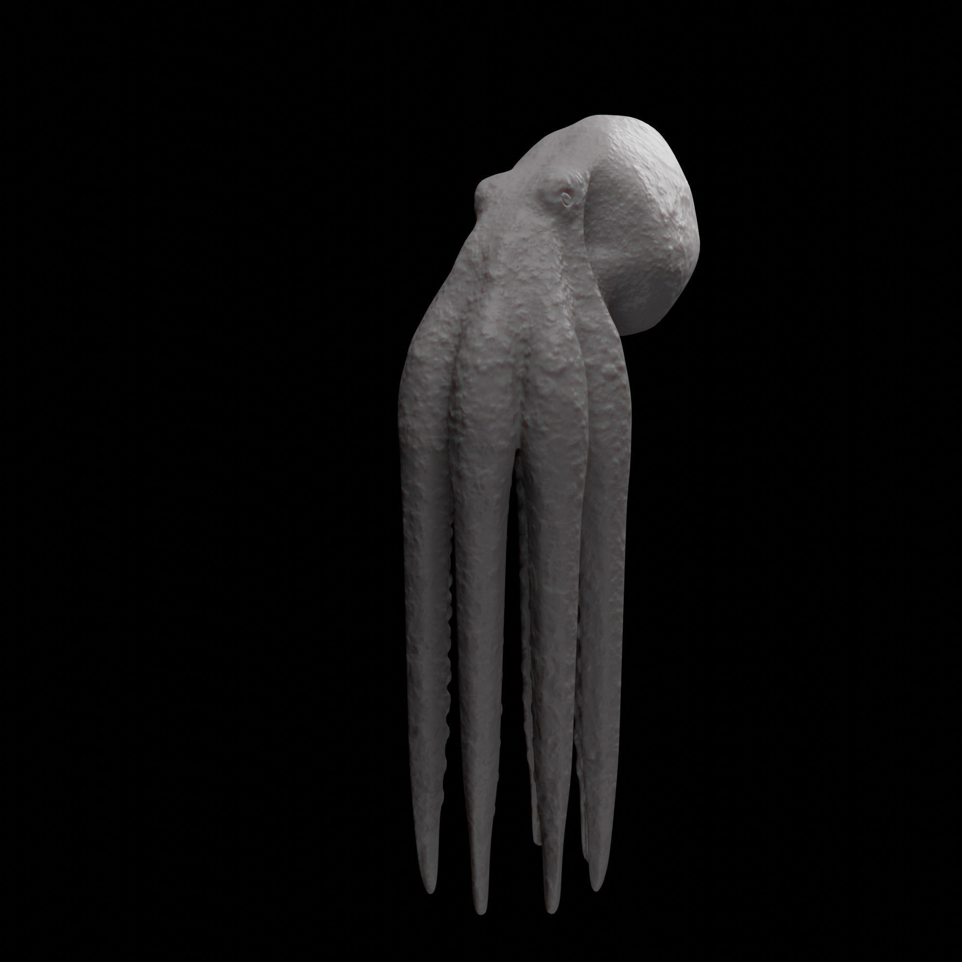 Animated Octopus 3D model_27