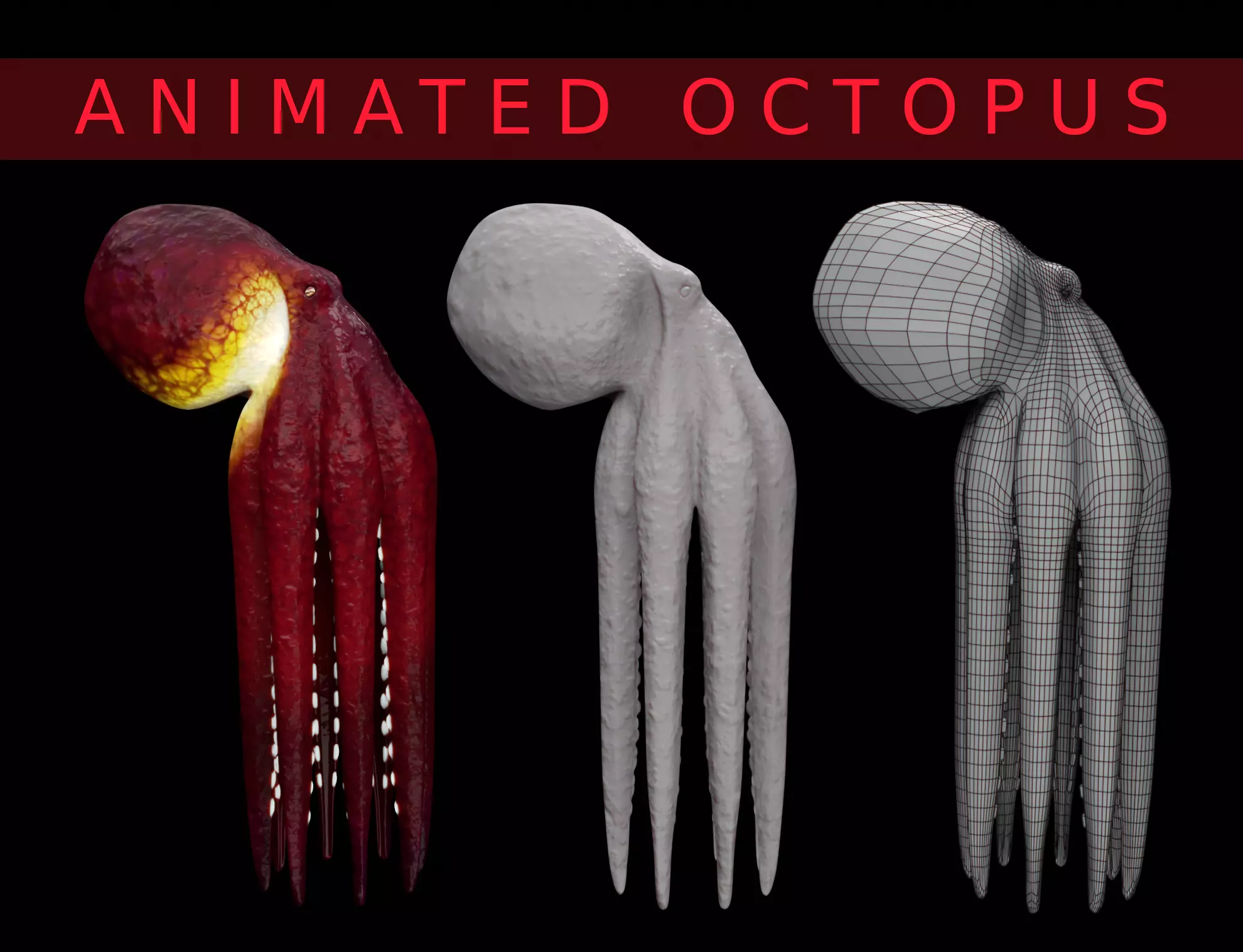 Animated Octopus 3D model_0