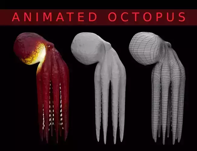 Animated Octopus 3D model