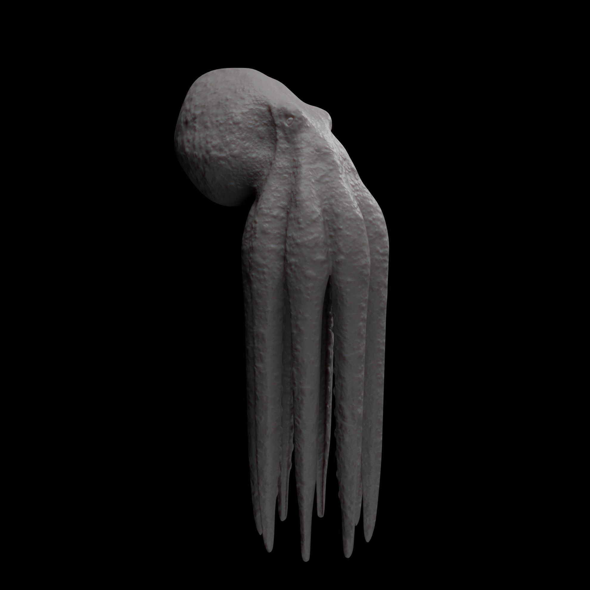 Animated Octopus 3D model_31