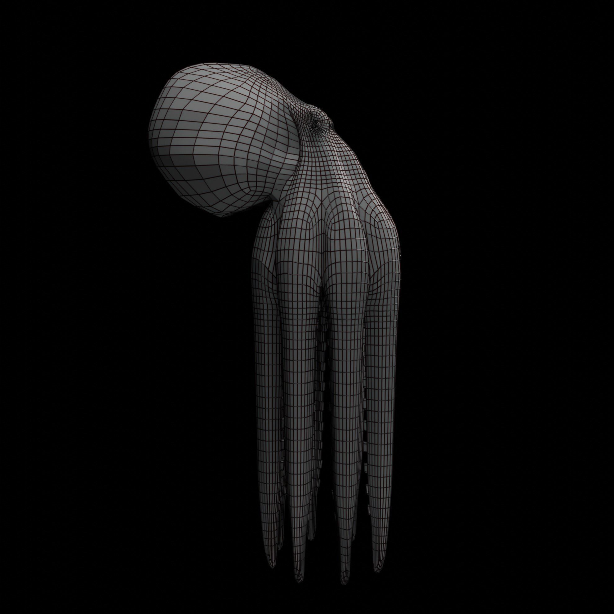 Animated Octopus 3D model_49