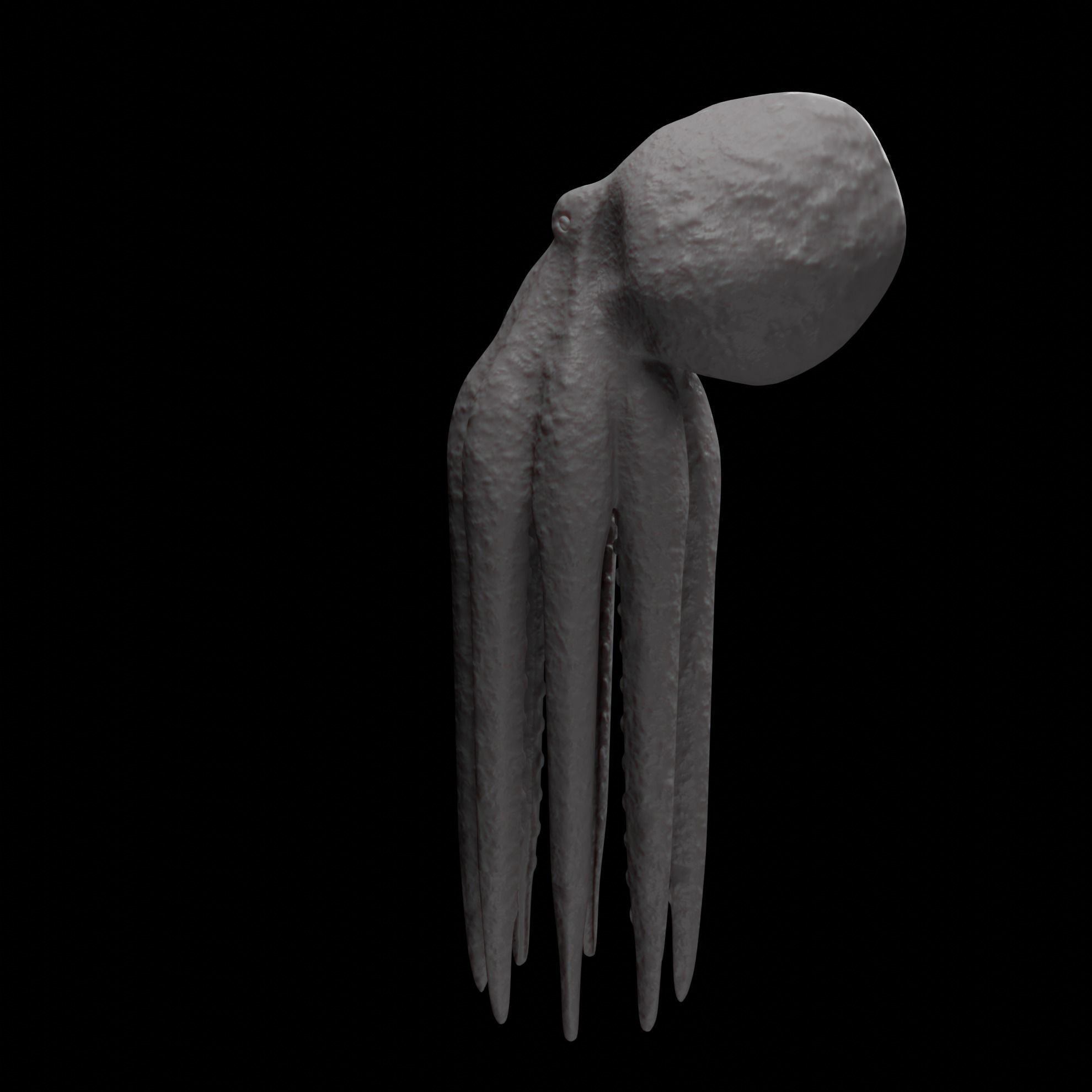 Animated Octopus 3D model_24