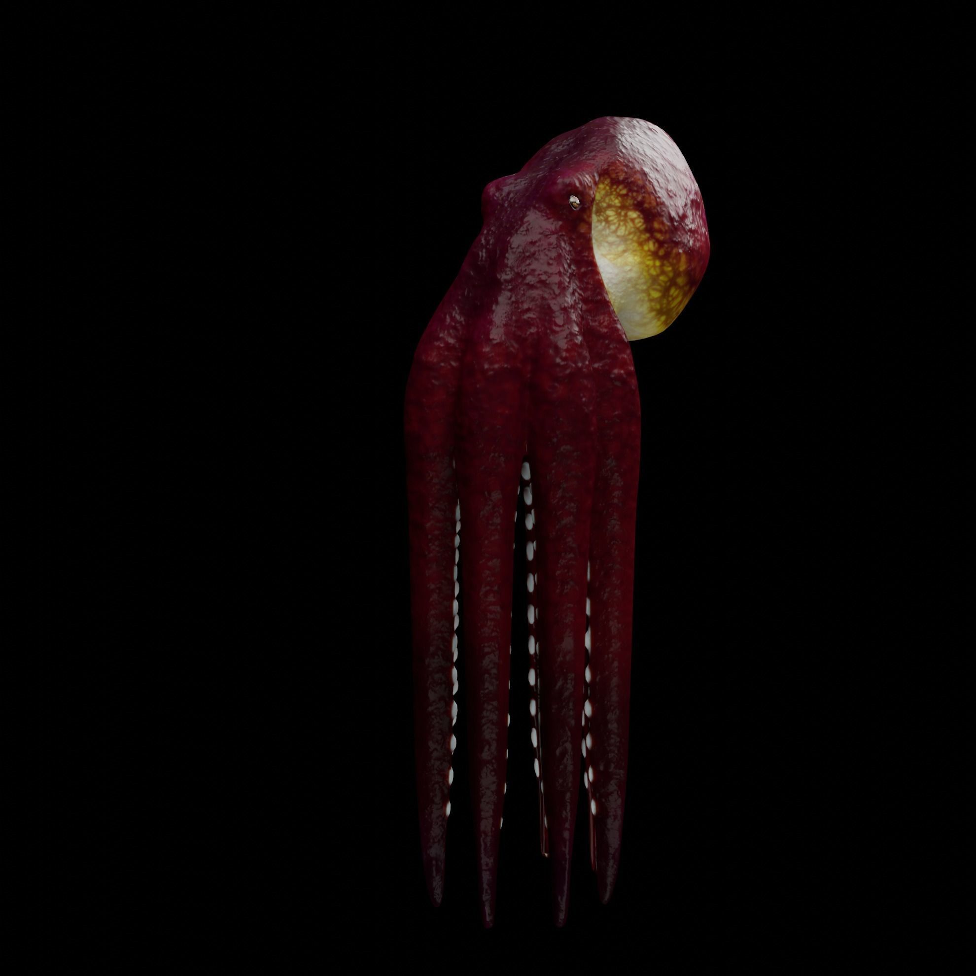 Animated Octopus 3D model_12