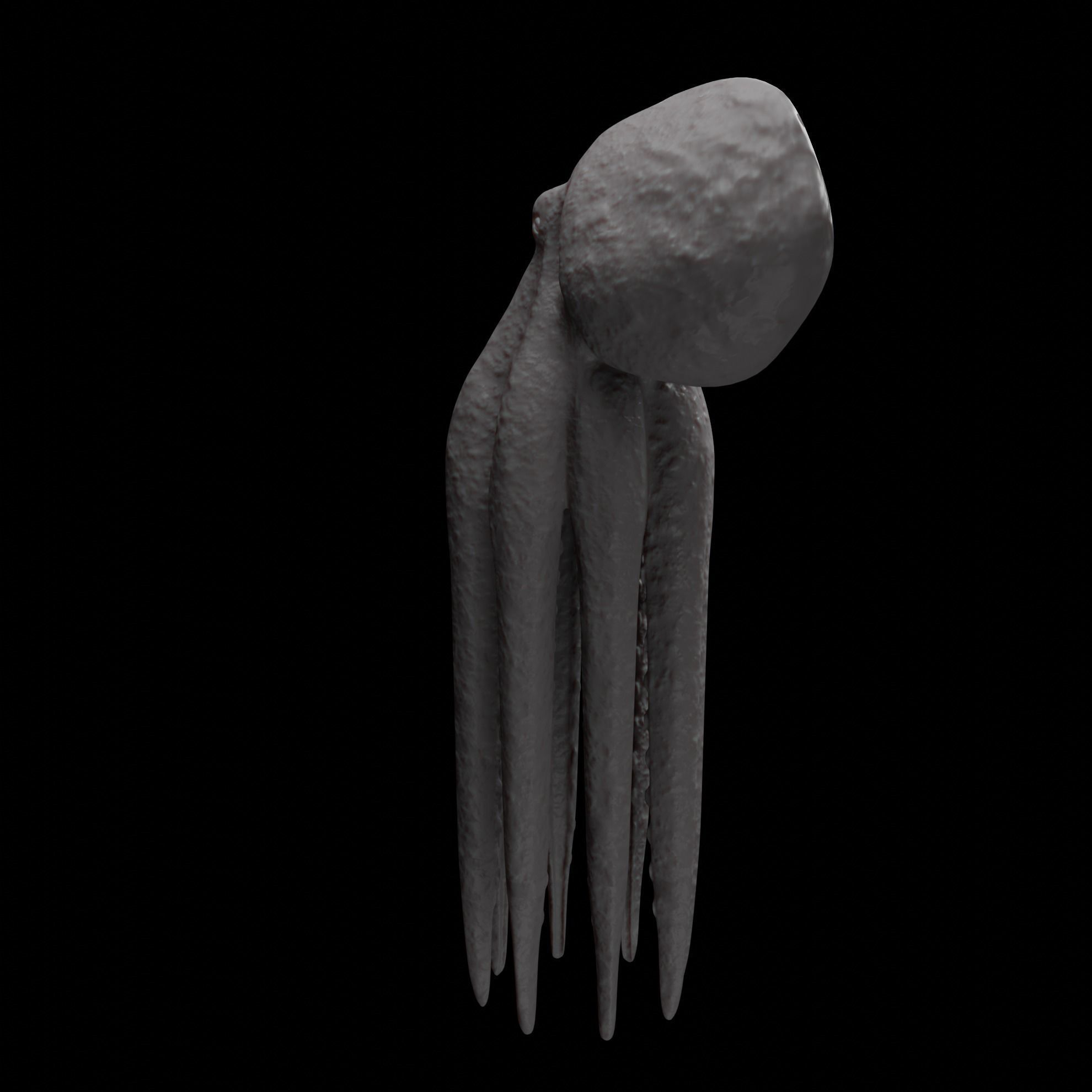 Animated Octopus 3D model_23