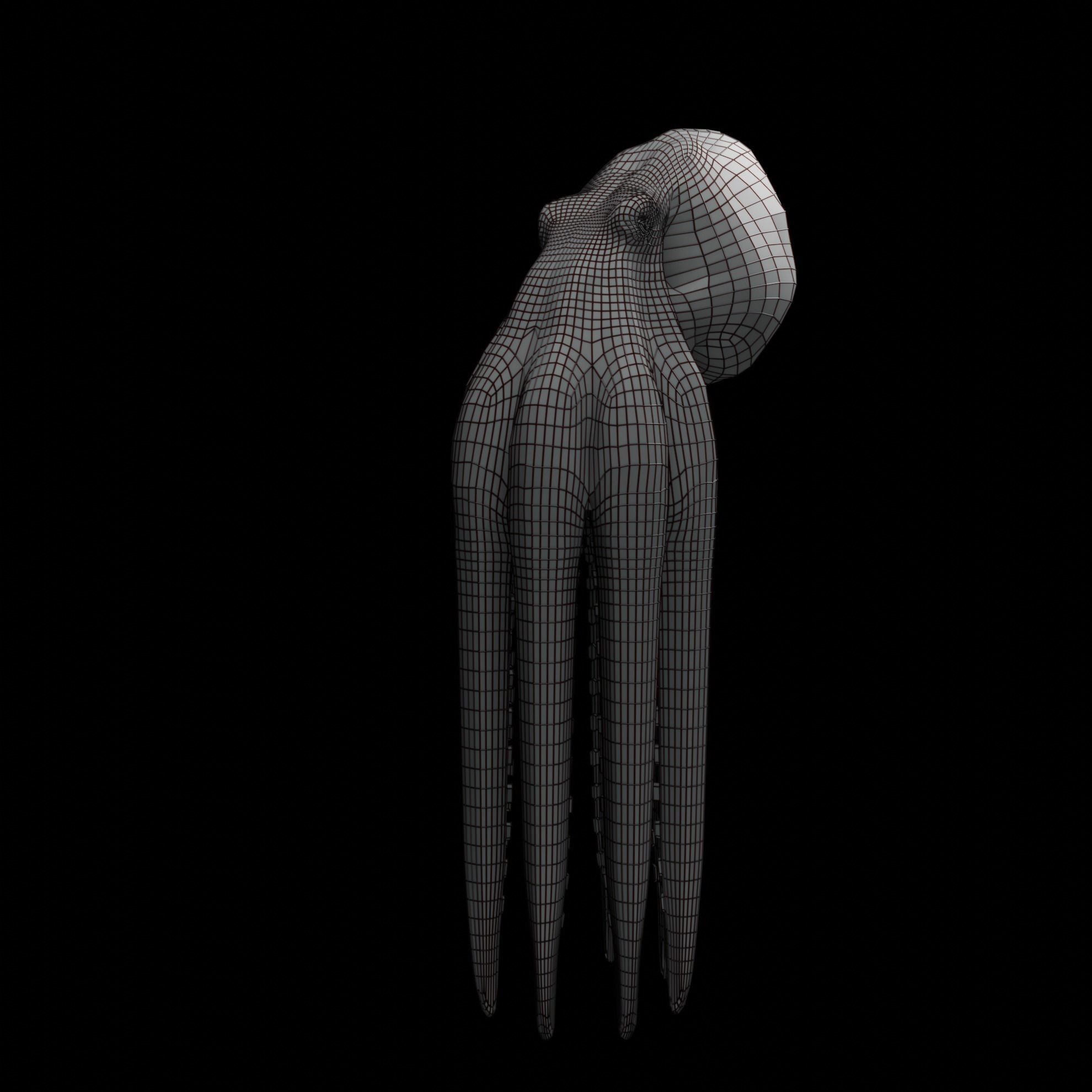Animated Octopus 3D model_44
