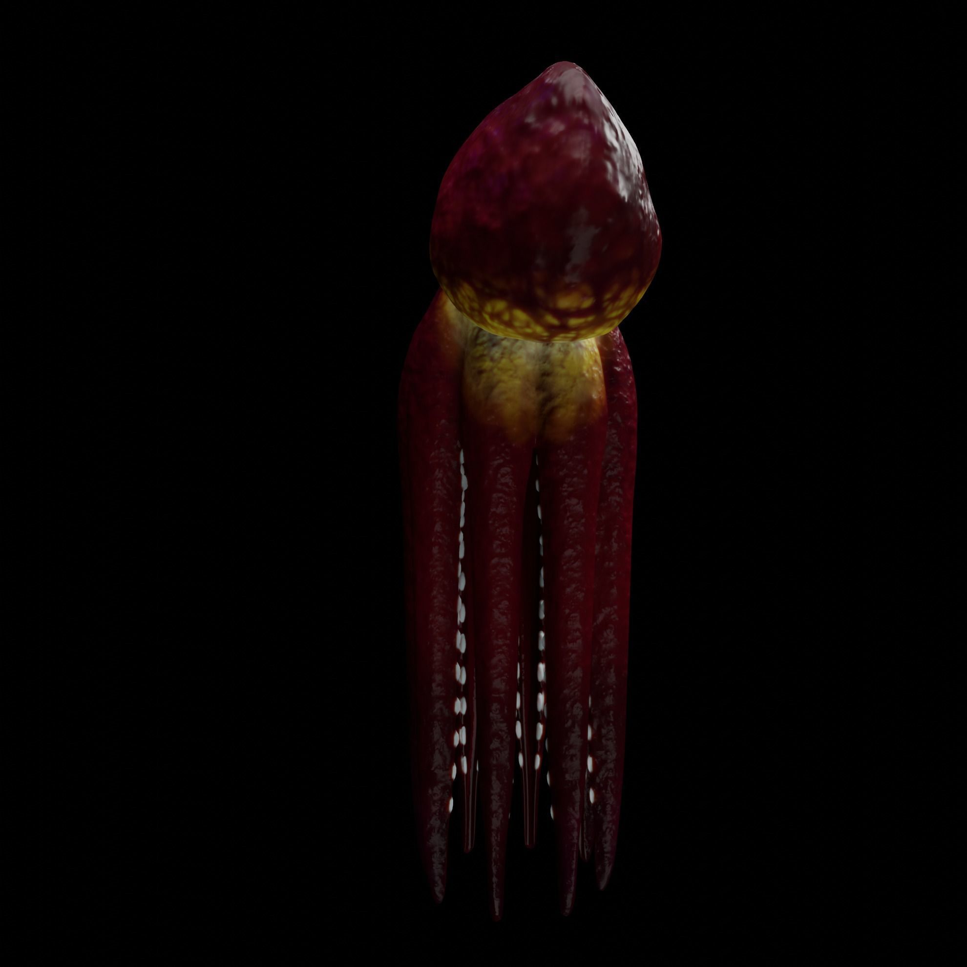 Animated Octopus 3D model_7
