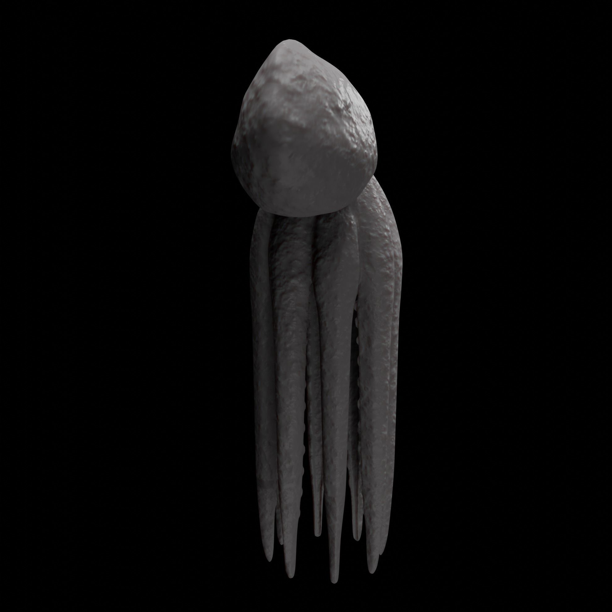 Animated Octopus 3D model_21