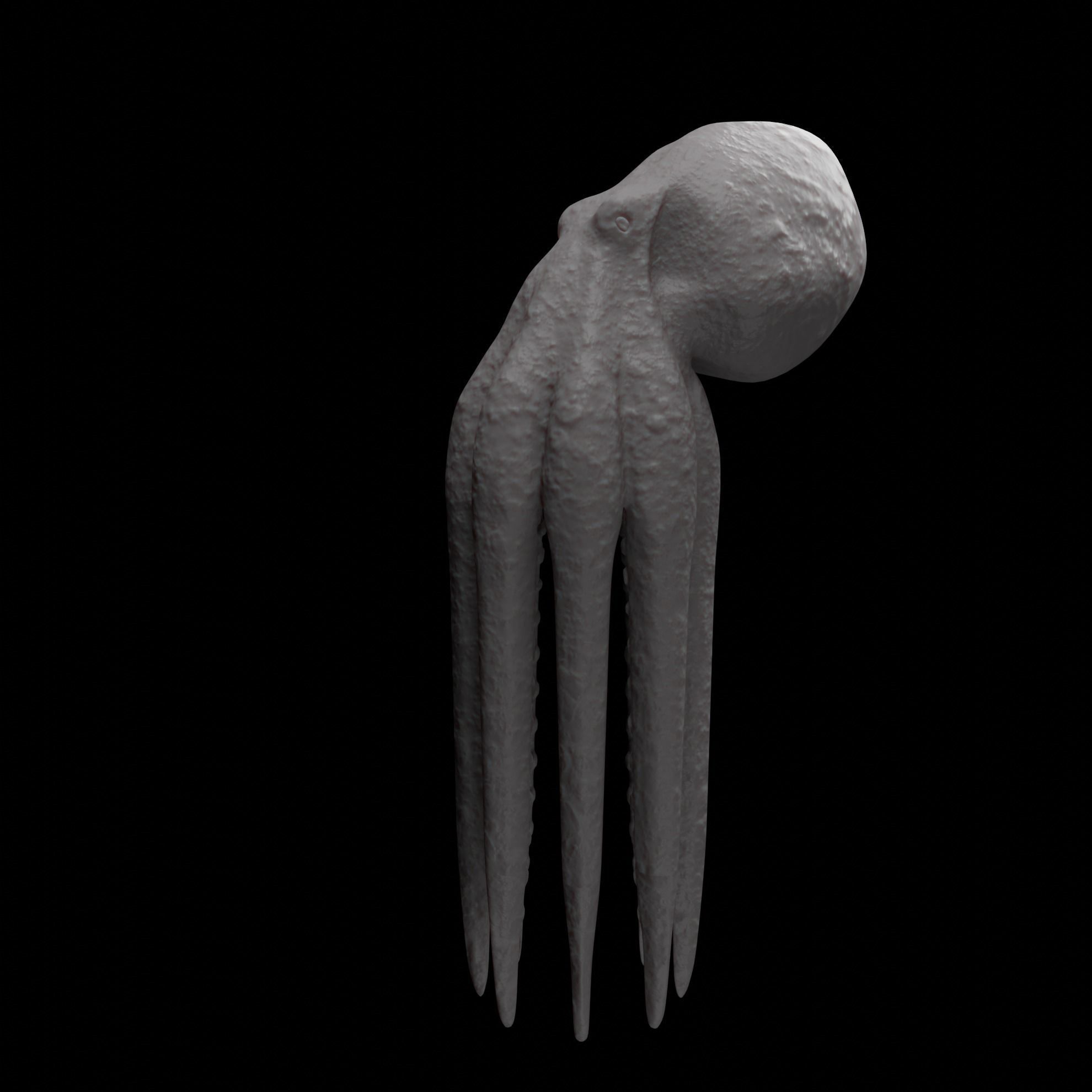 Animated Octopus 3D model_26