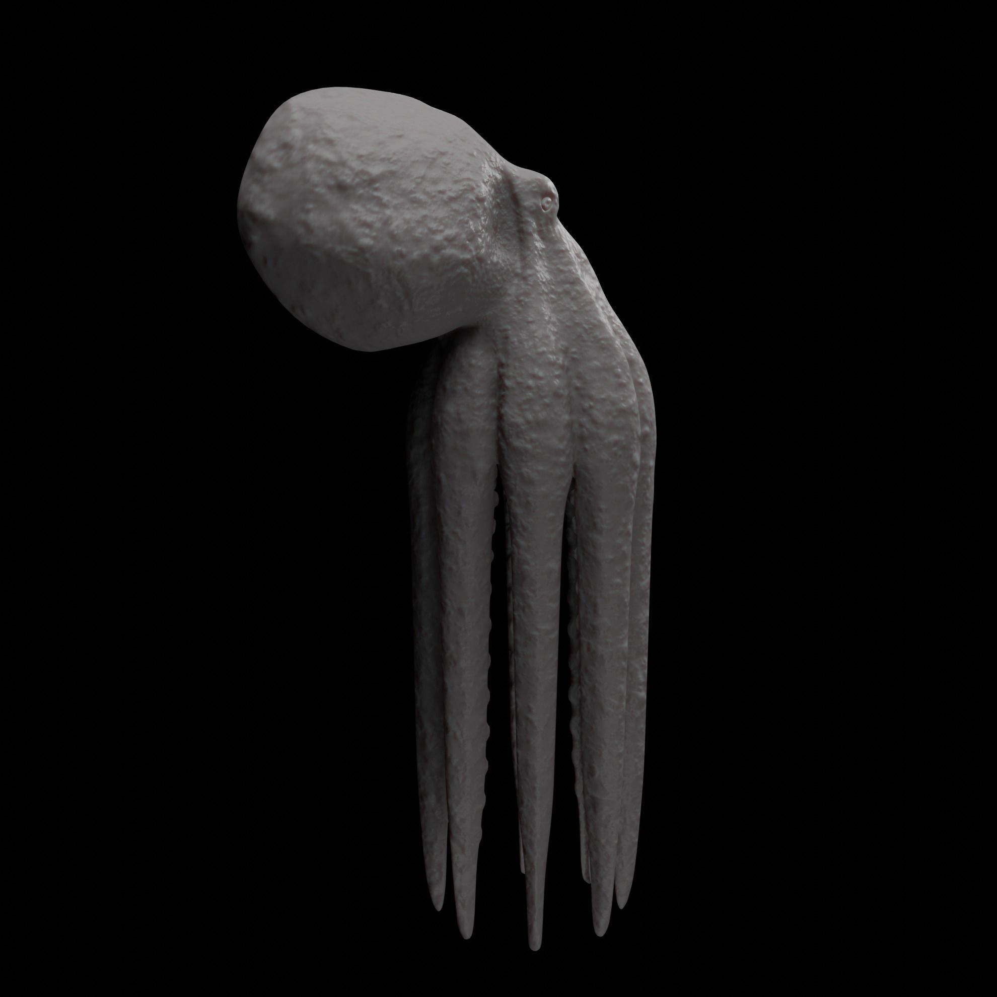 Animated Octopus 3D model_19
