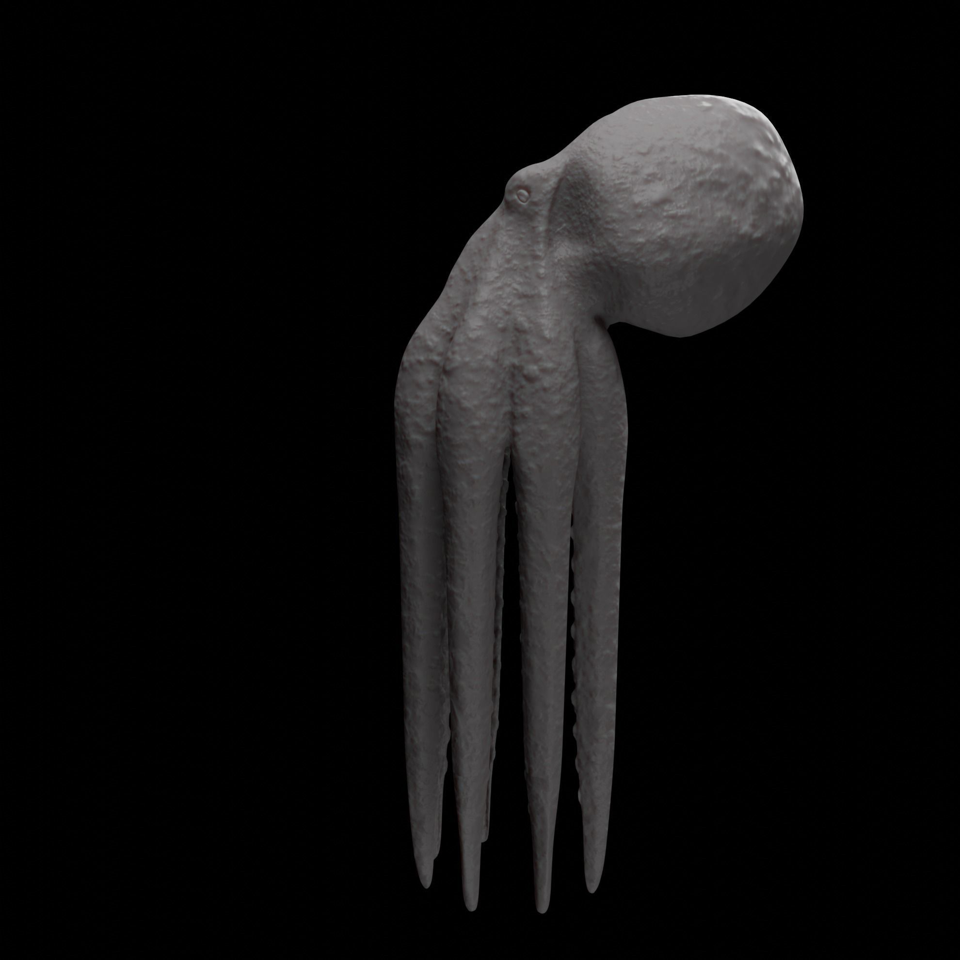 Animated Octopus 3D model_25