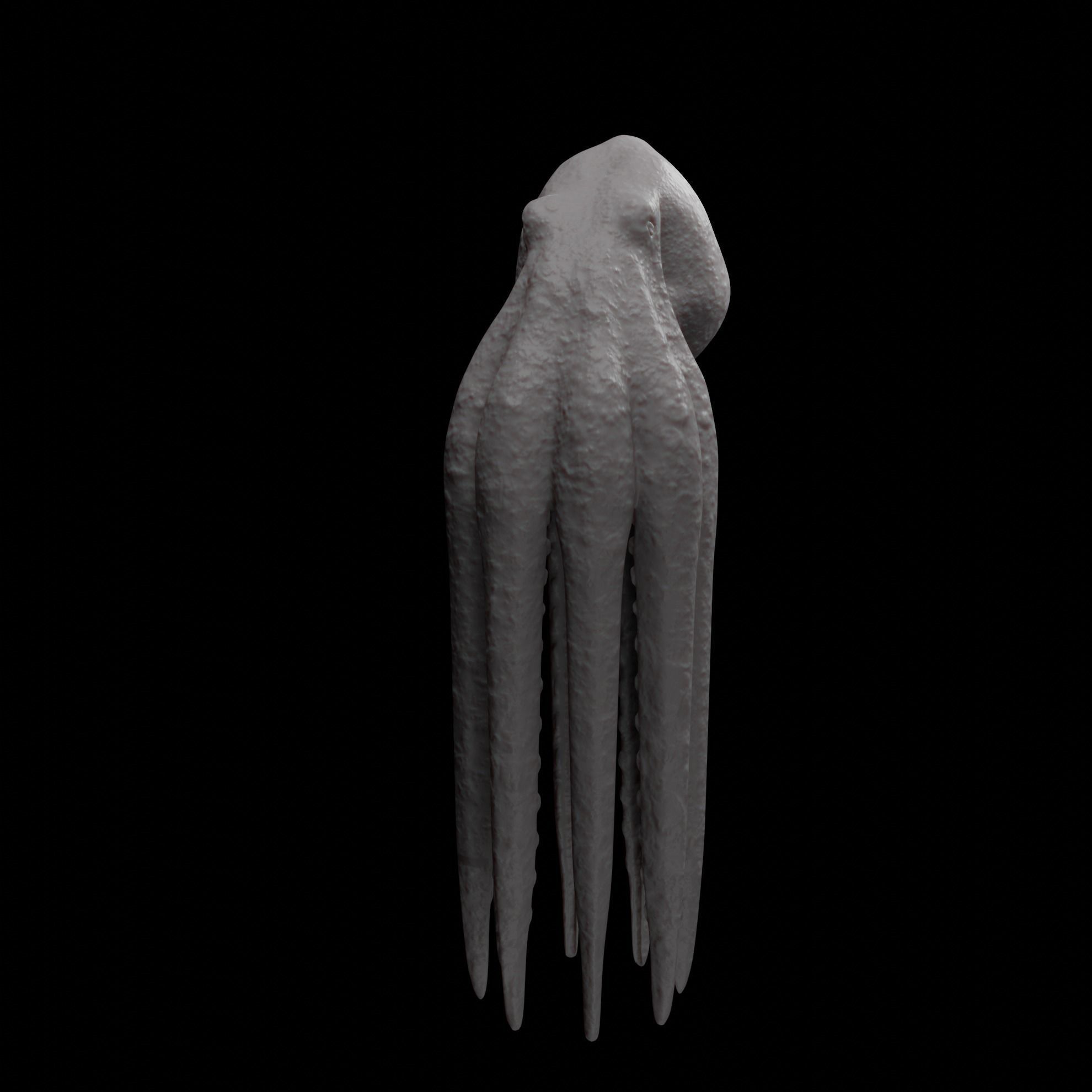 Animated Octopus 3D model_28