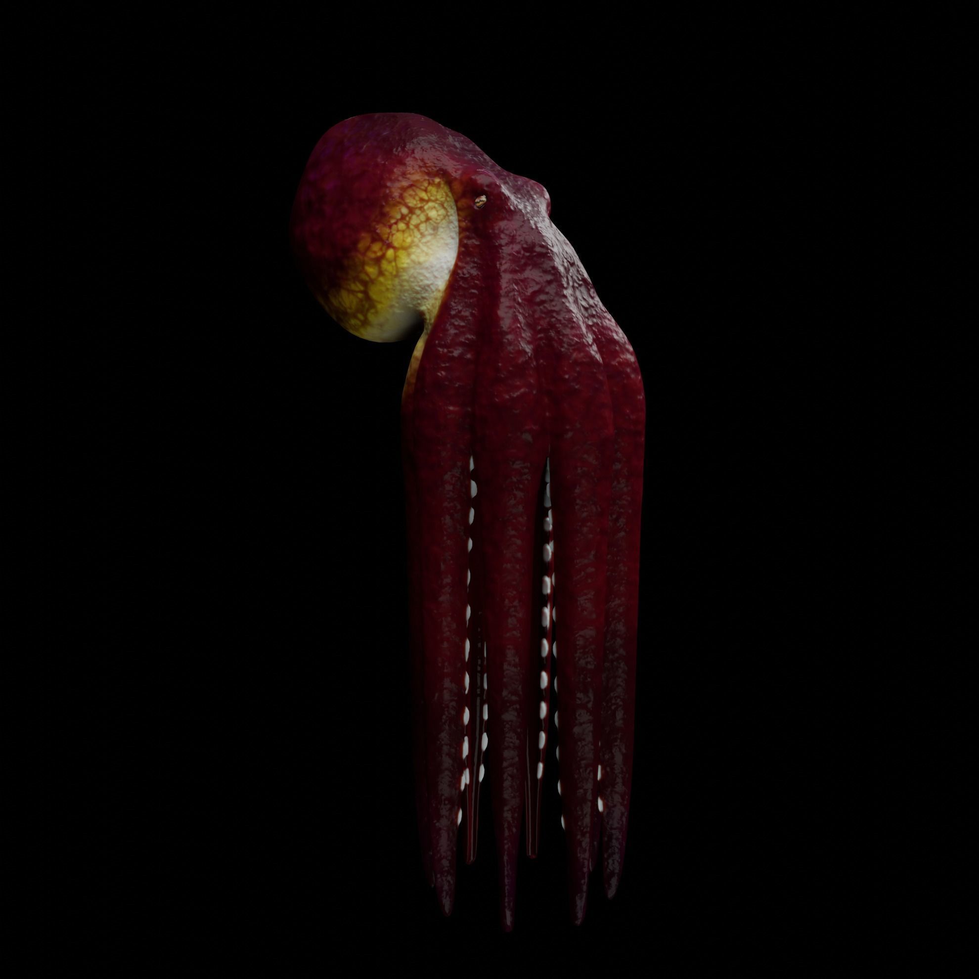 Animated Octopus 3D model_16