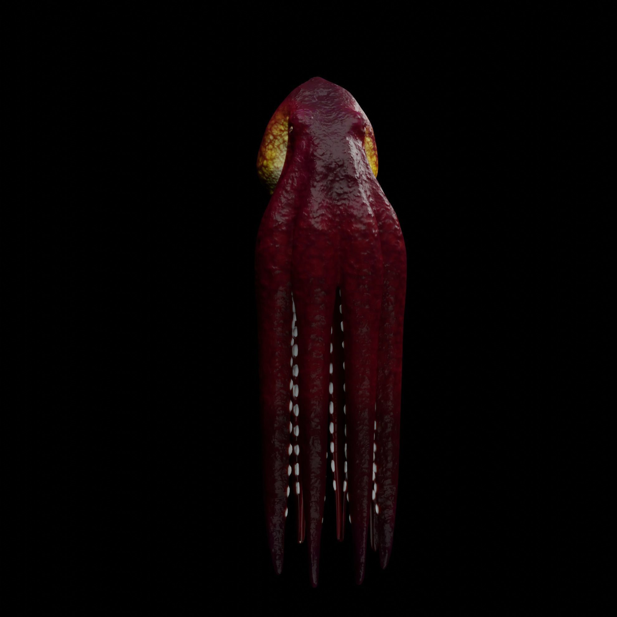 Animated Octopus 3D model_14