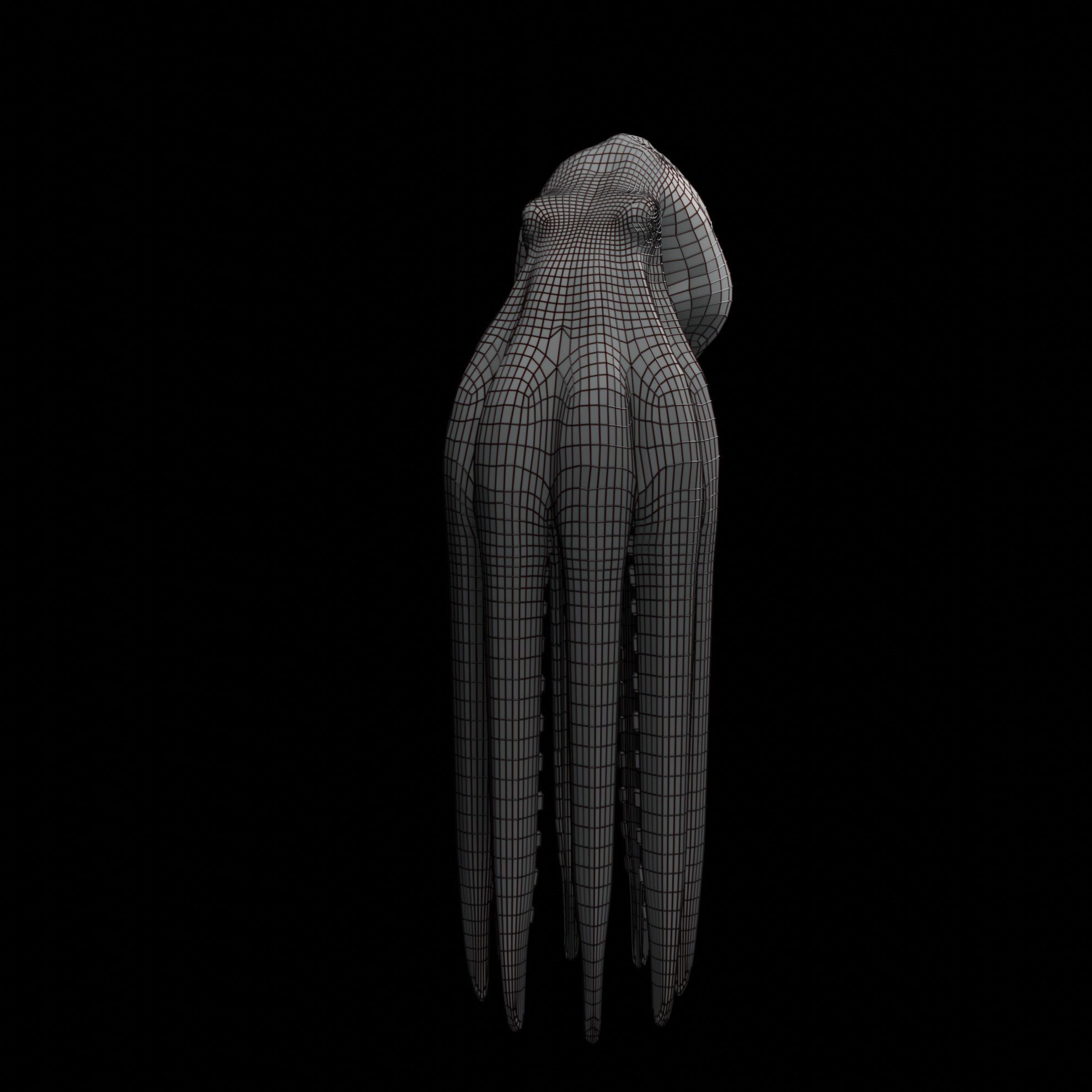 Animated Octopus 3D model_45