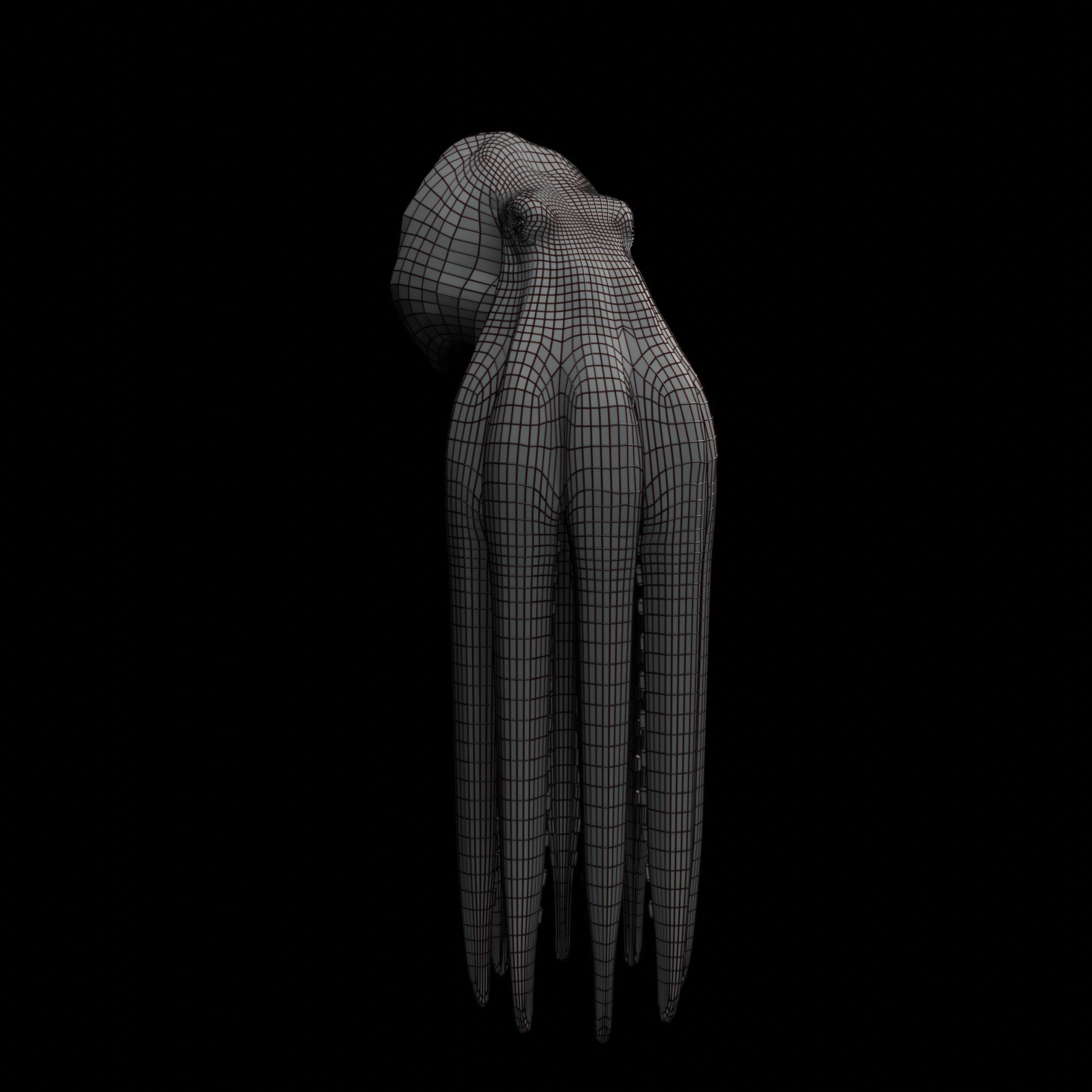 Animated Octopus 3D model_47