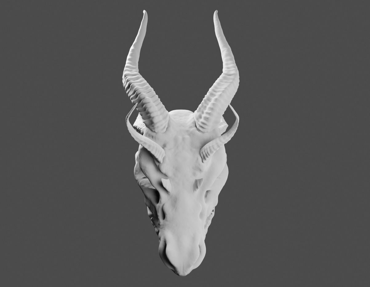 Dragons Skull 3D model_3