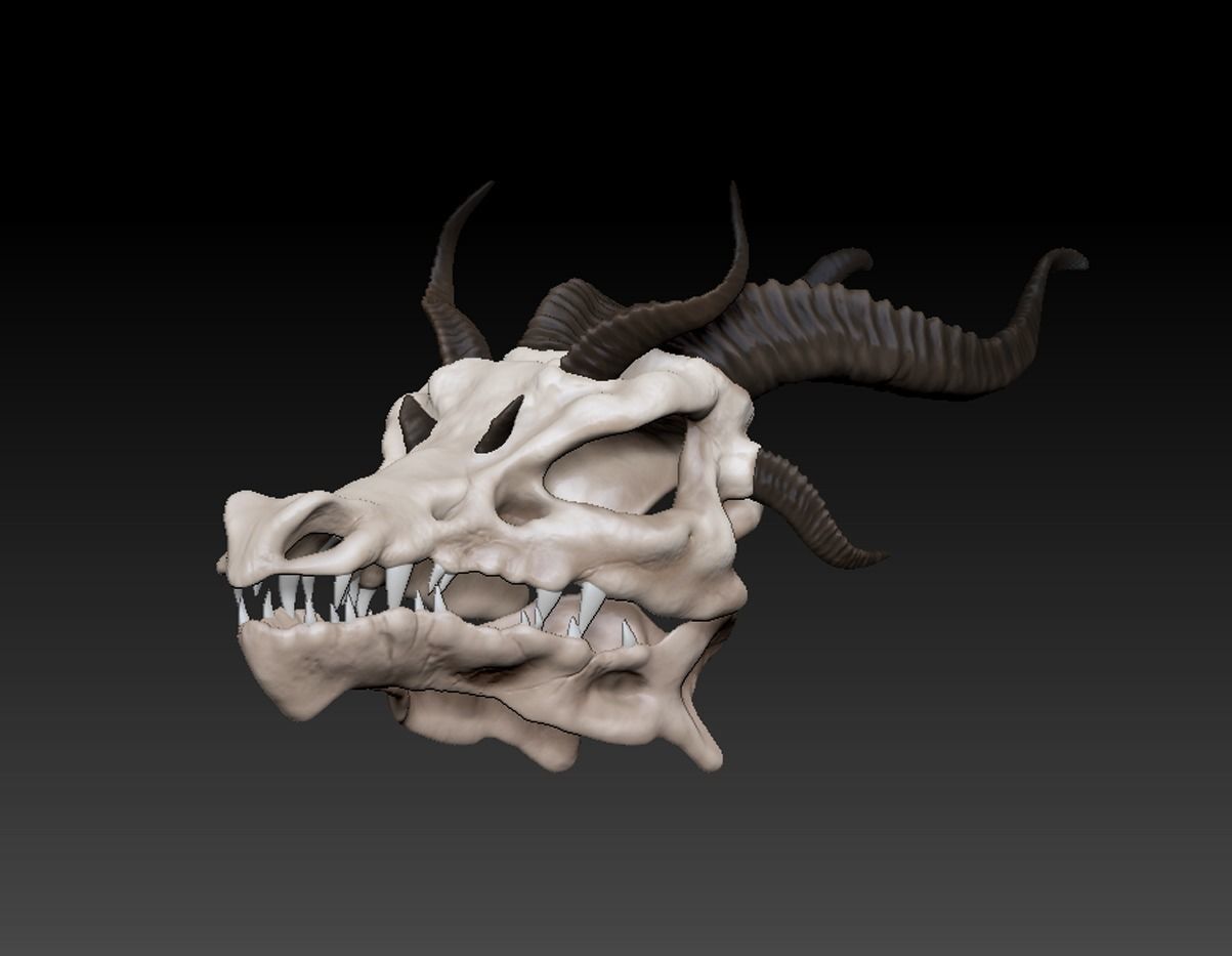Dragons Skull 3D model_9