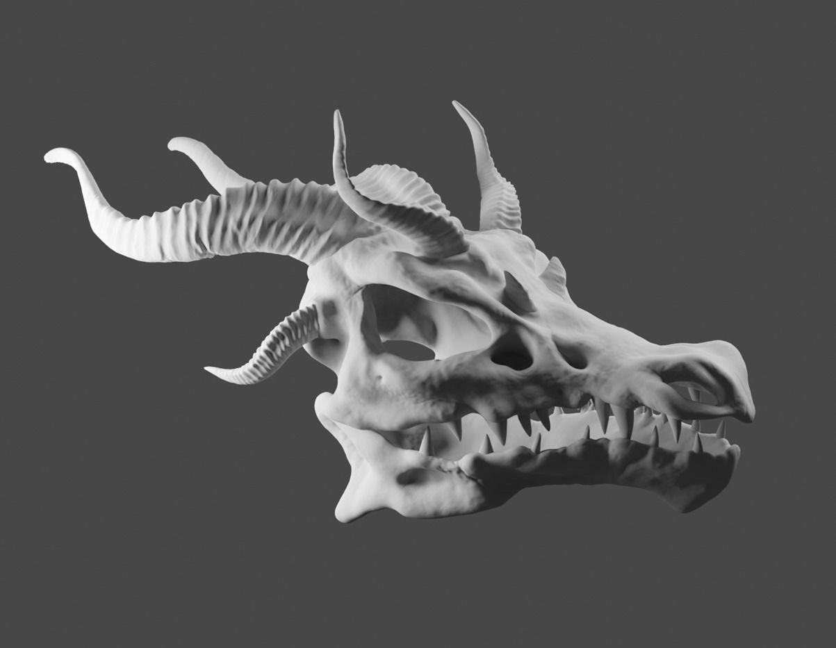 Dragons Skull 3D model_2