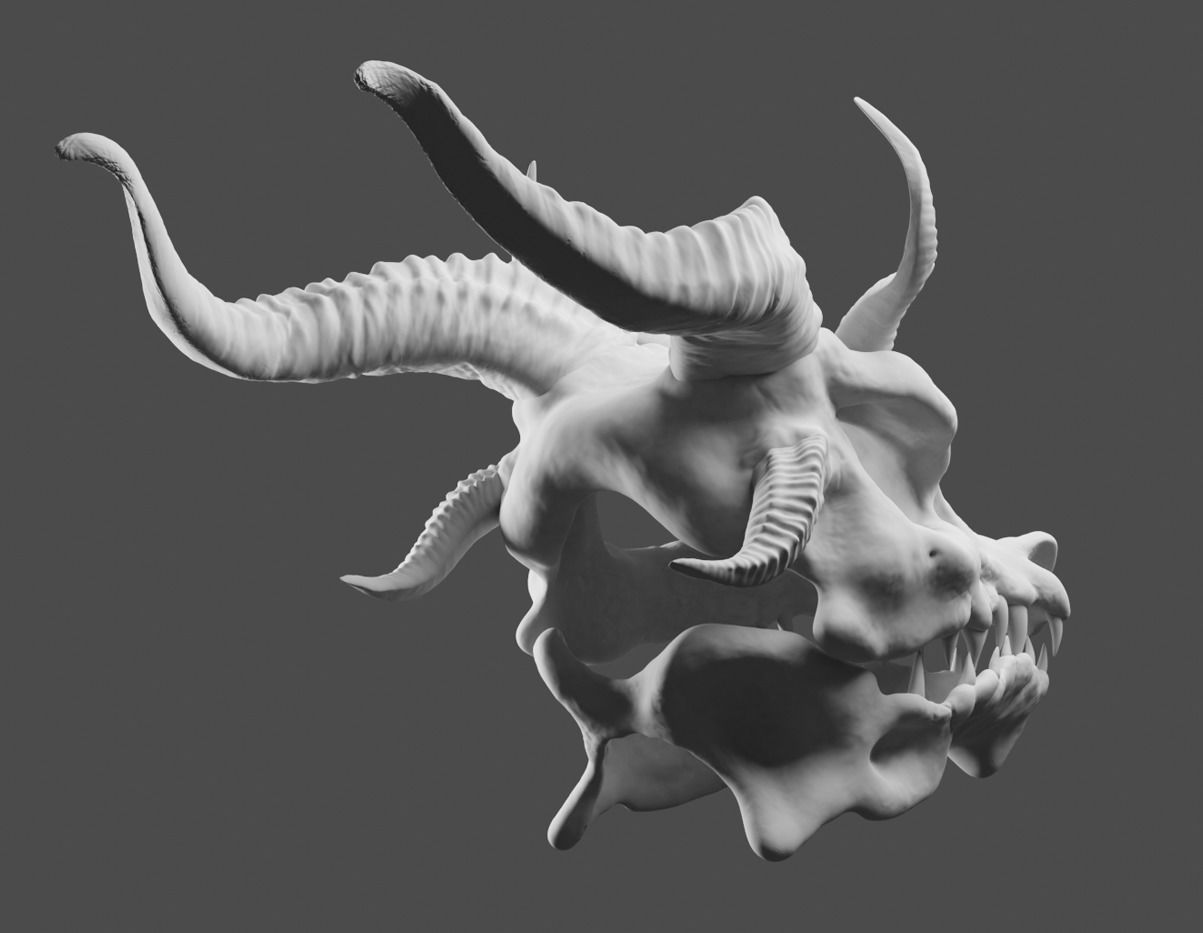 Dragons Skull 3D model_4