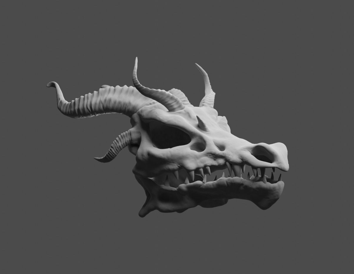 Dragons Skull 3D model_1