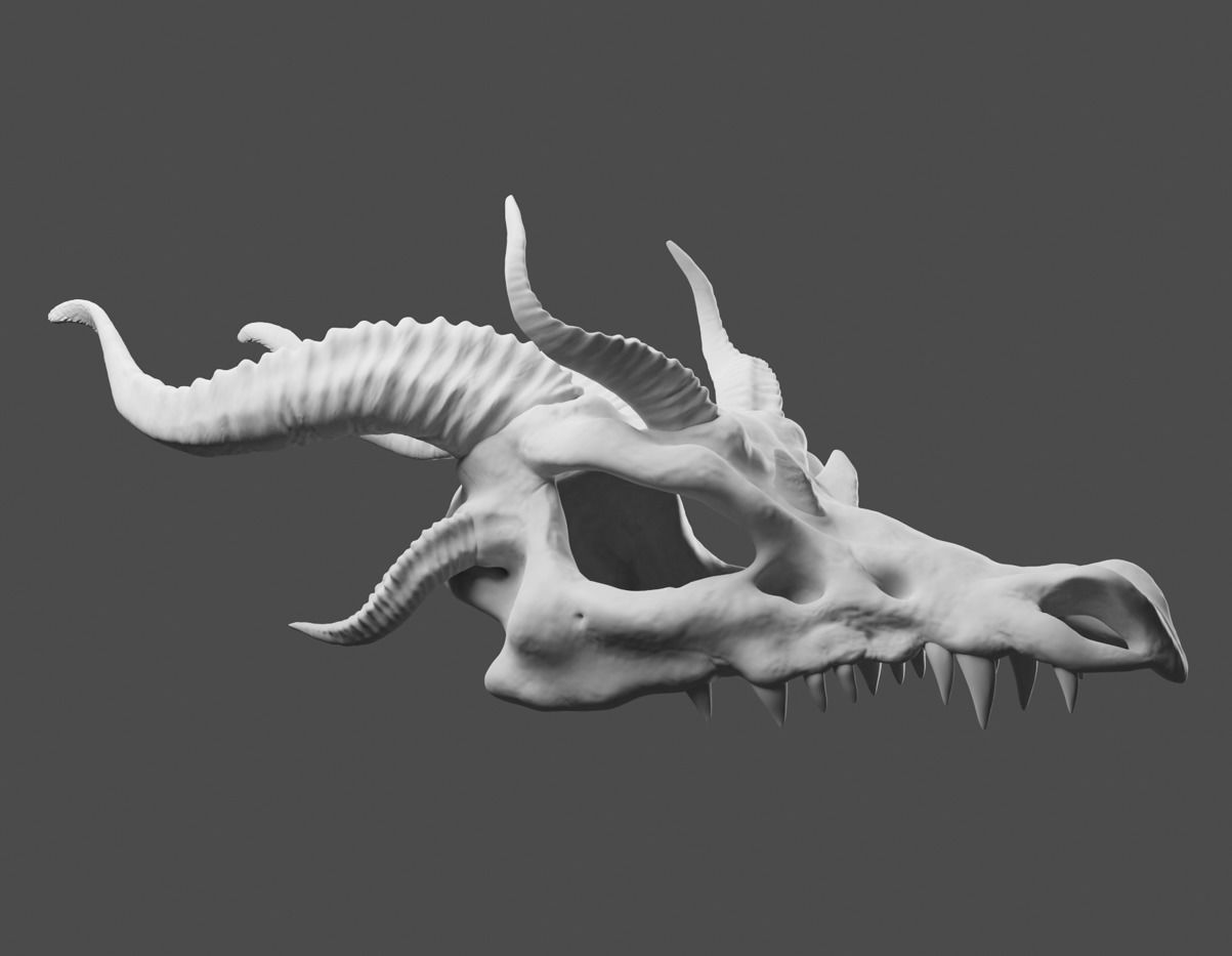 Dragons Skull 3D model_5
