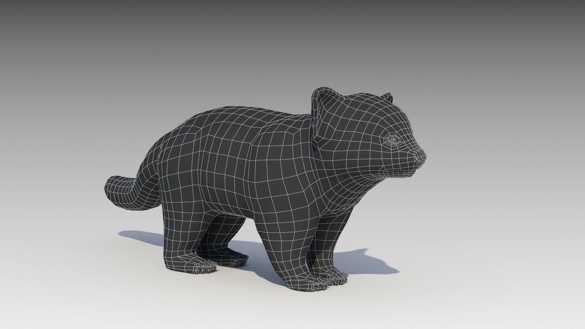 Red Panda Low-poly 3D model_13