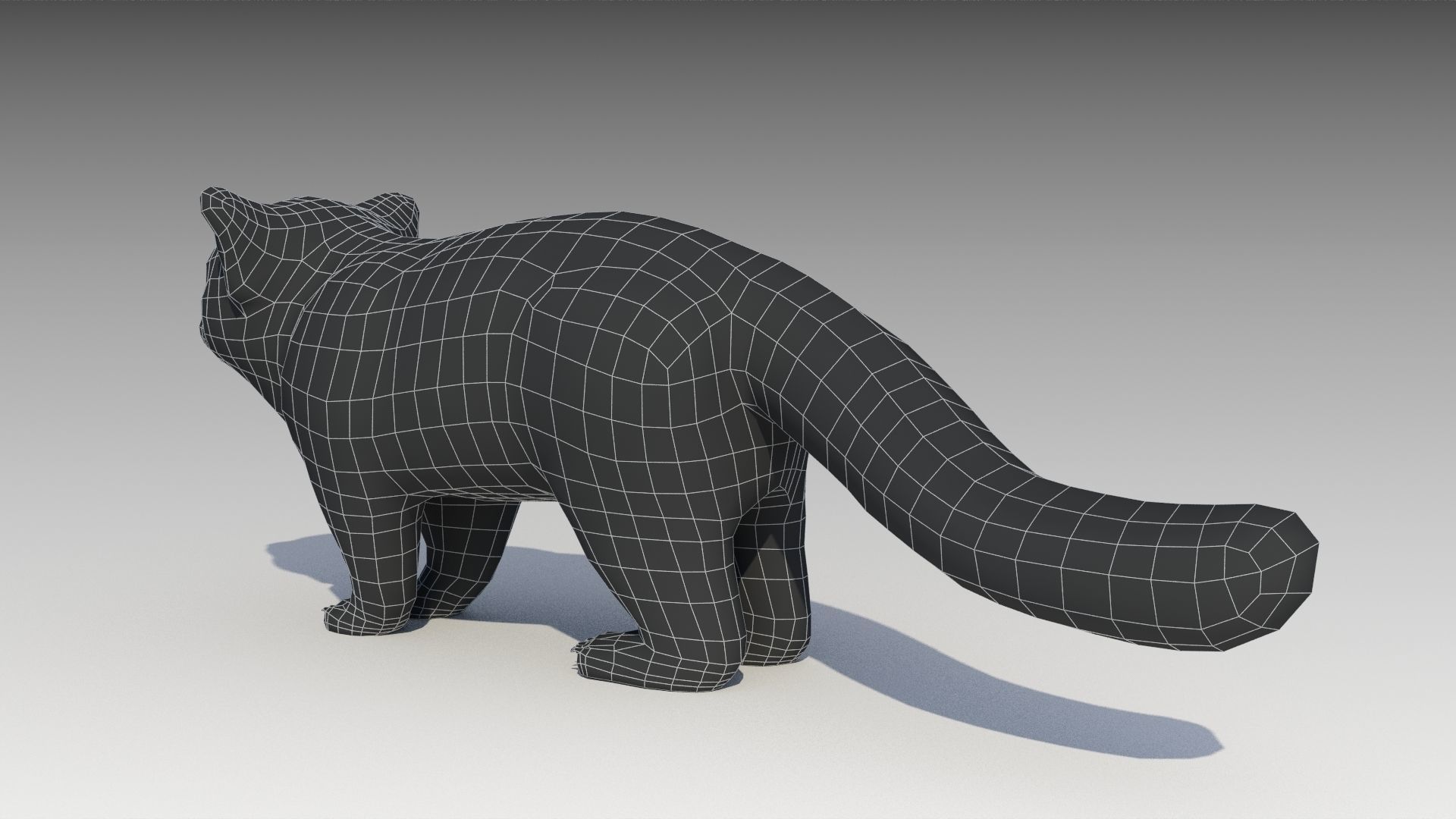 Red Panda Low-poly 3D model_14