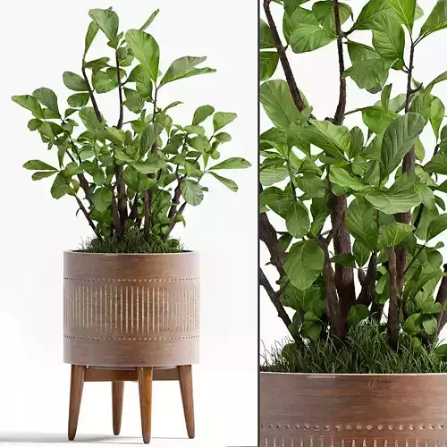 Decorative plant set-65