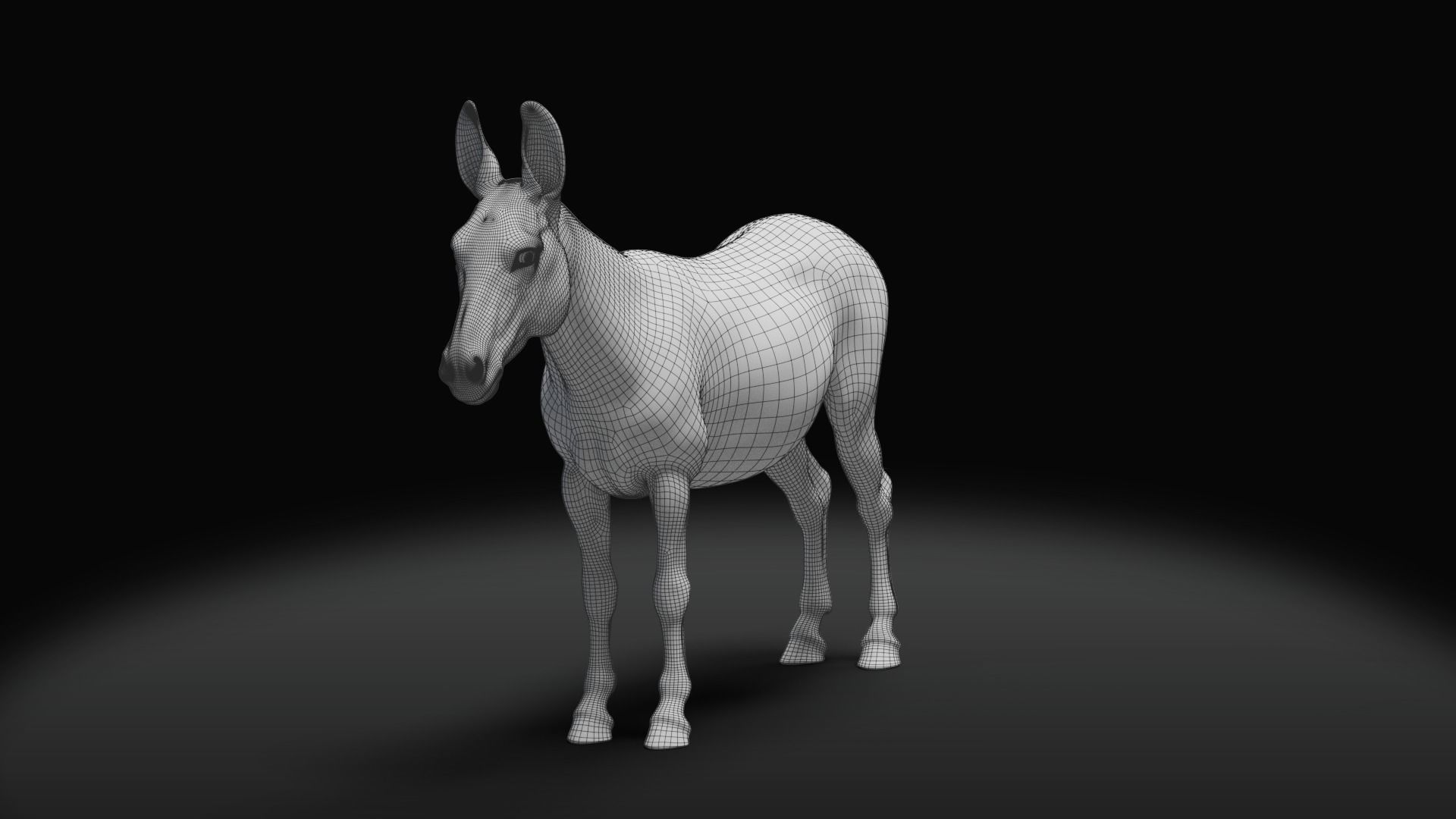 Grey Donkey Animated 3D model_21