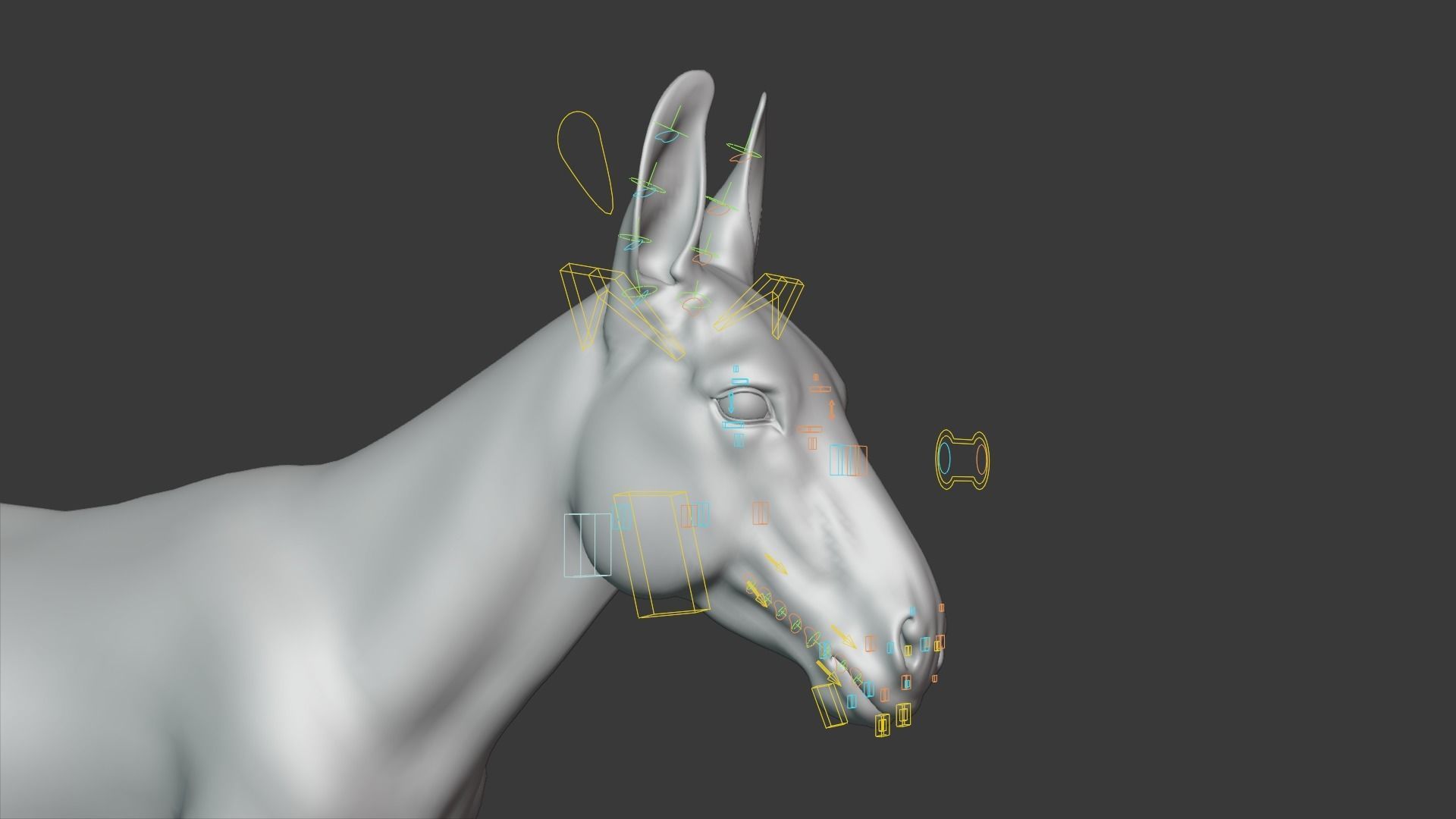 Grey Donkey Animated 3D model_20