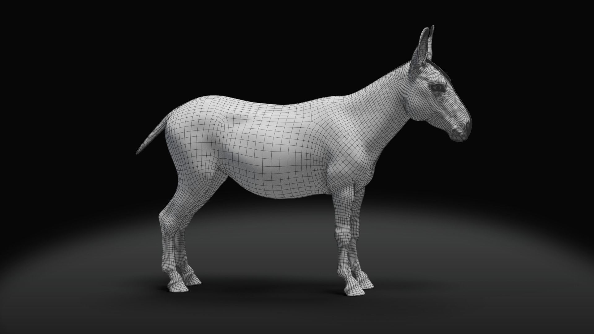 Grey Donkey Animated 3D model_23