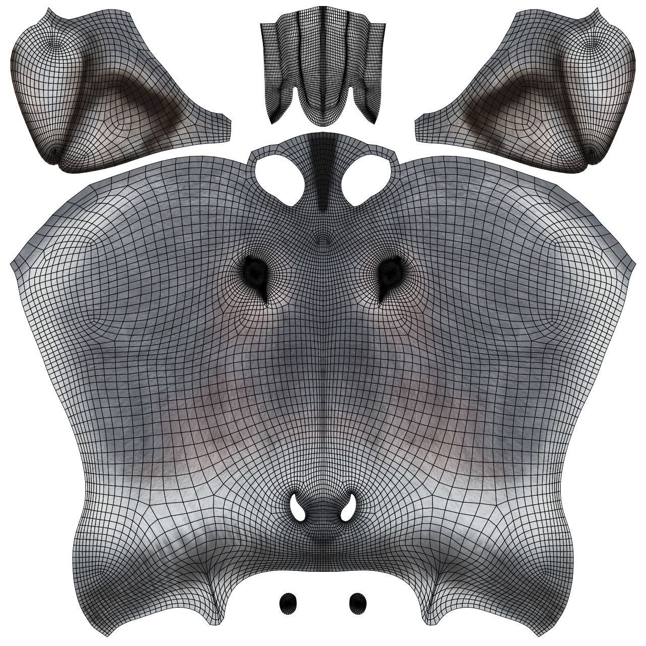 Grey Donkey Animated 3D model_19