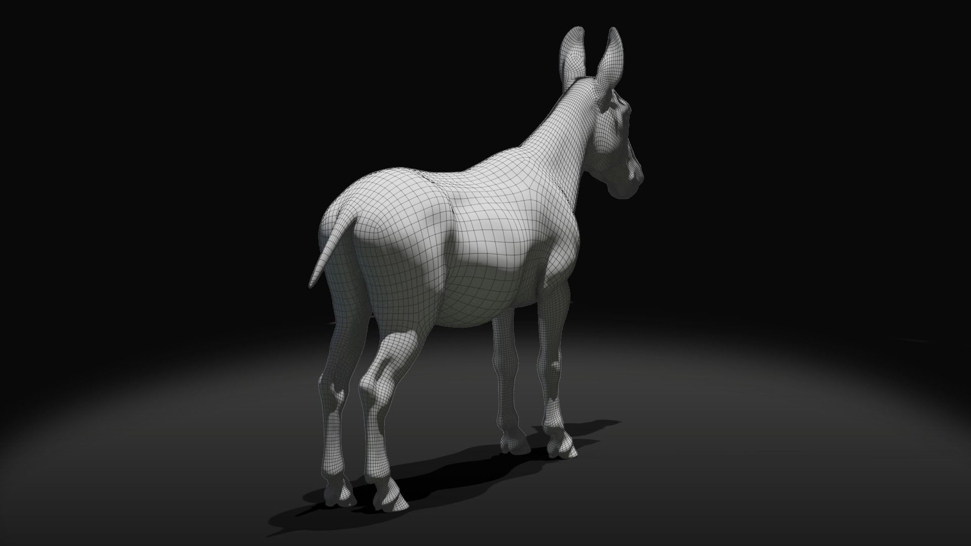 Grey Donkey Animated 3D model_24