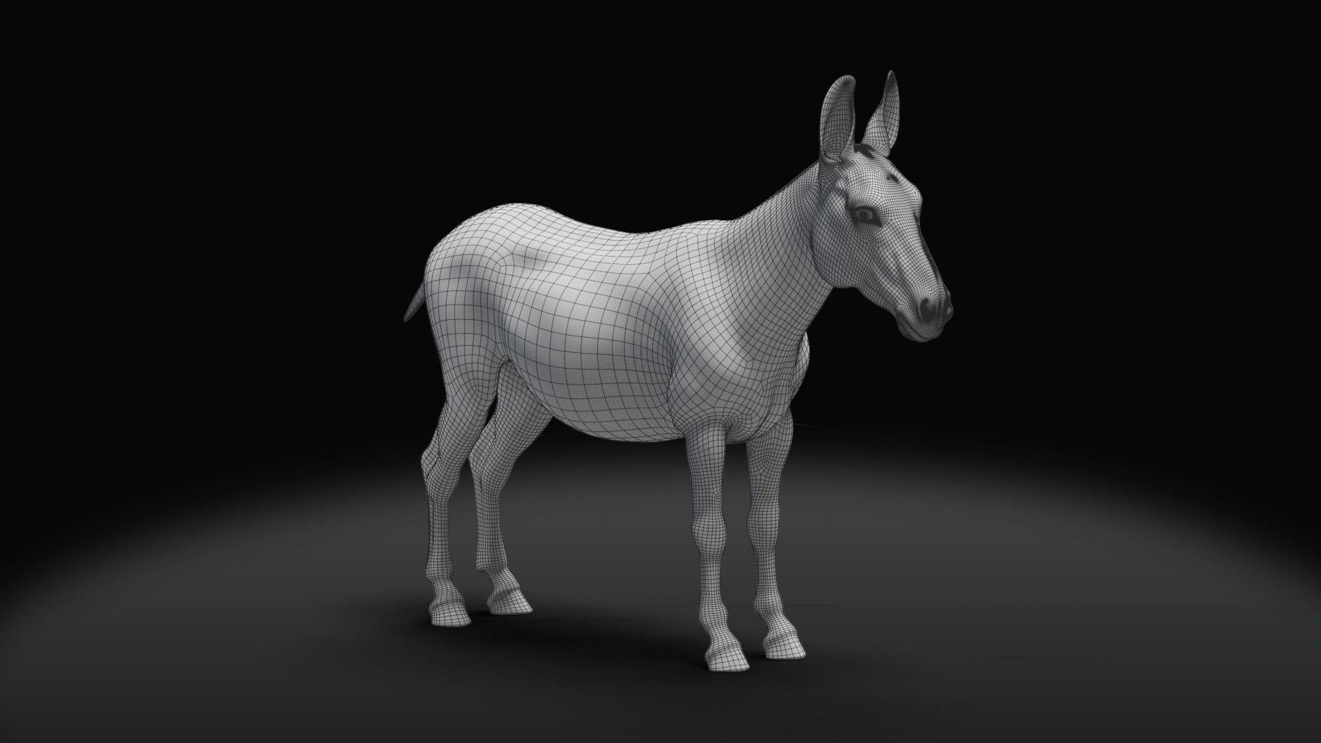 Grey Donkey Animated 3D model_22