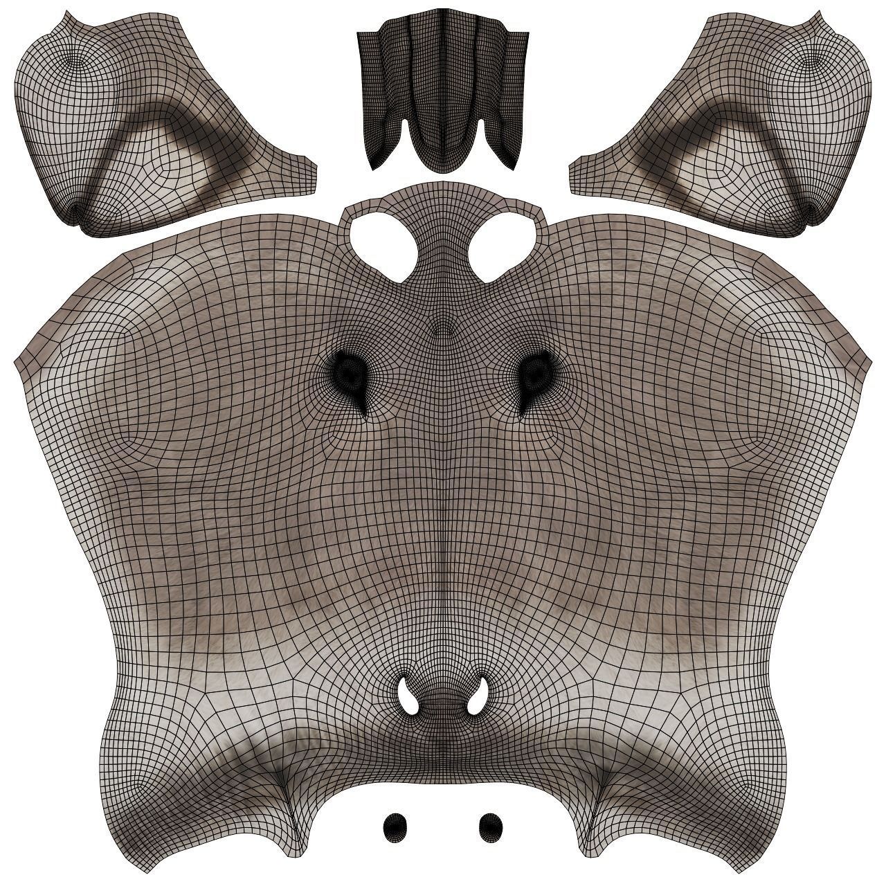 Grey Donkey Animated 3D model_17