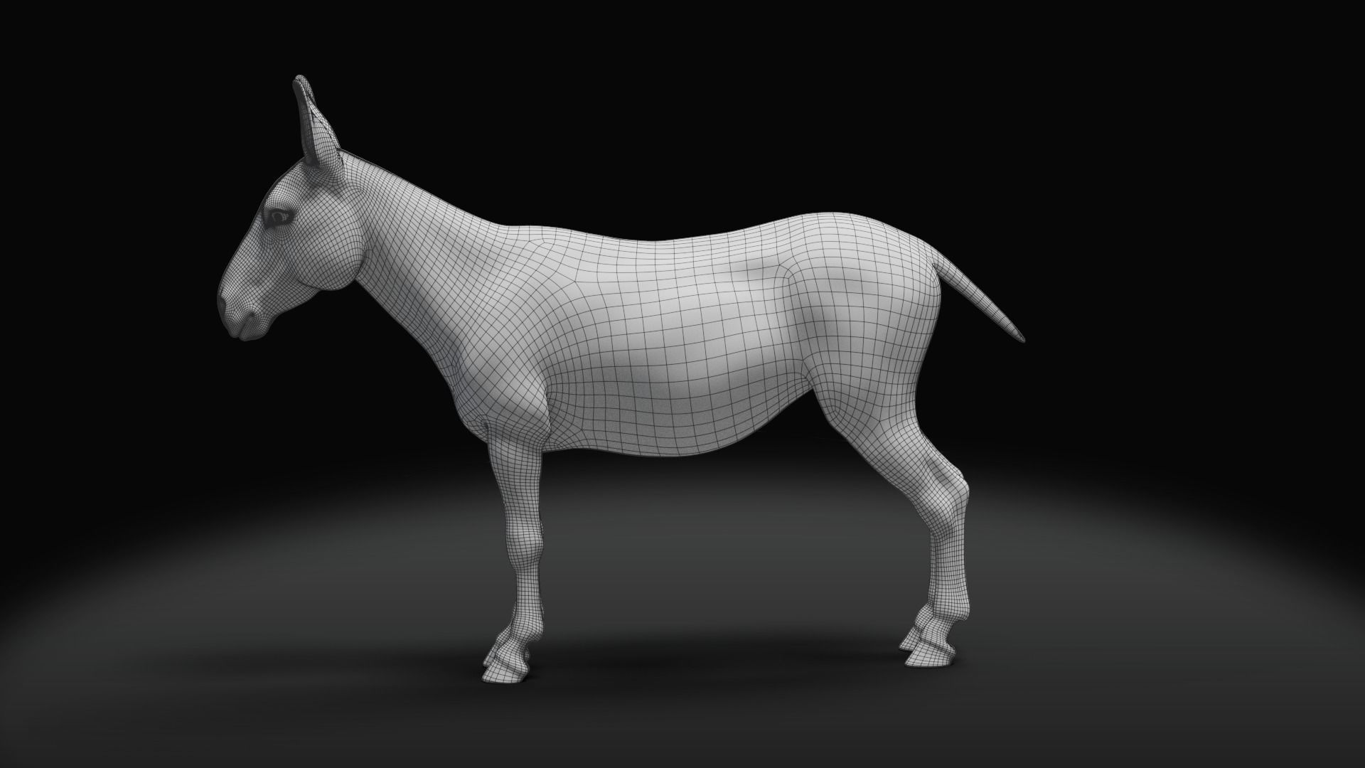 Grey Donkey Animated 3D model_4