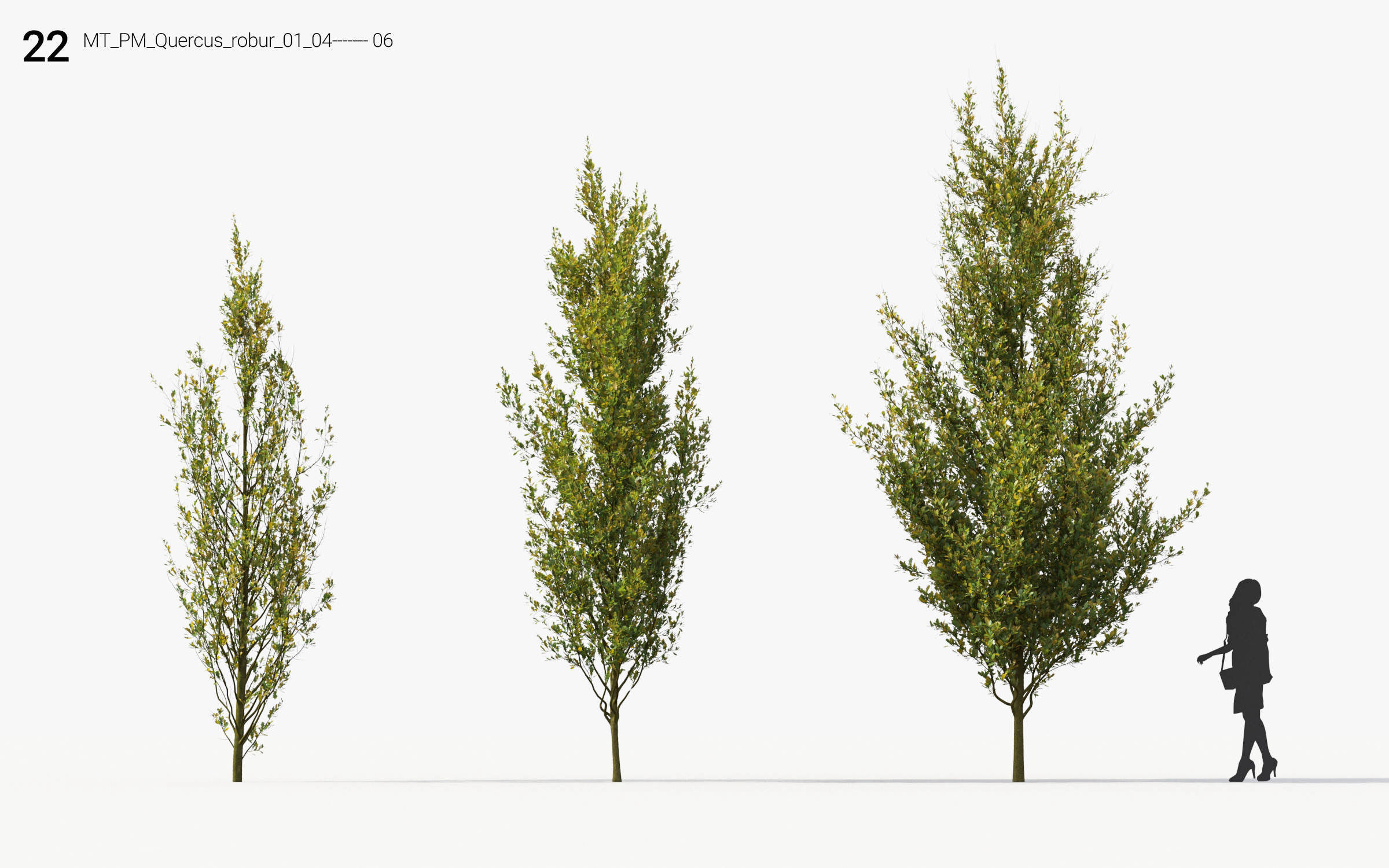 Small Tree Collection - Include GrowFX and Mesh file 3D model_100