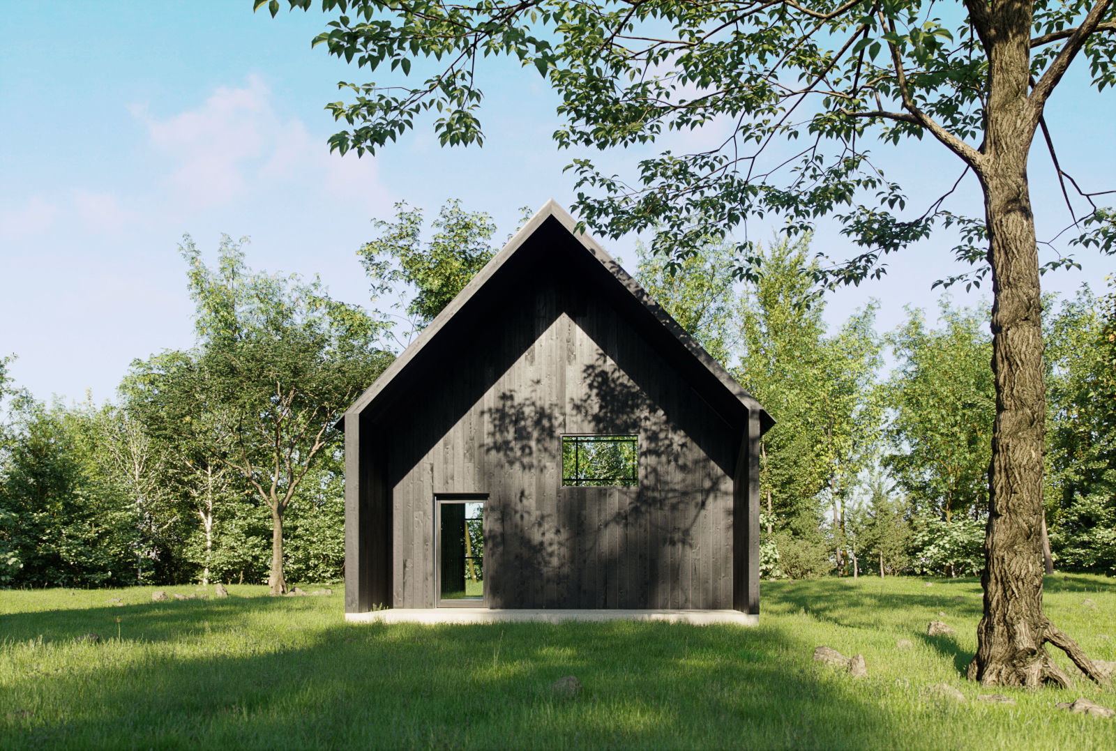 Small Tree Collection - Include GrowFX and Mesh file 3D model_3