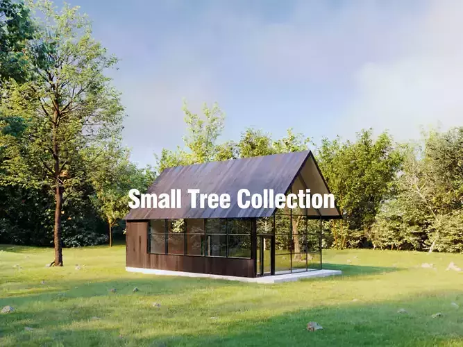 Small Tree Collection - Include GrowFX and Mesh file 3D model Small Tree Collection - Include GrowFX and Mesh file 3D model