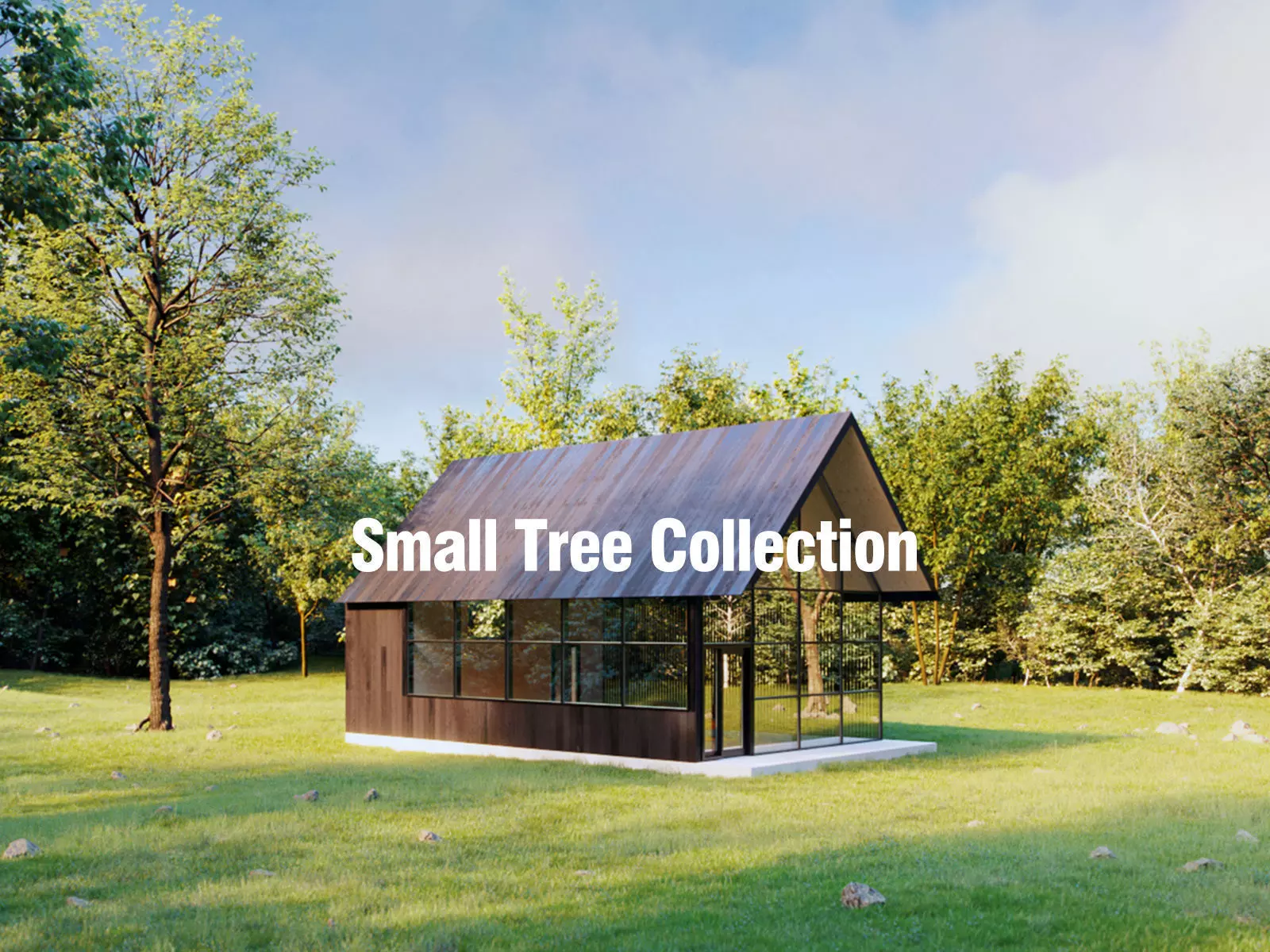 Small Tree Collection - Include GrowFX and Mesh file 3D model_0