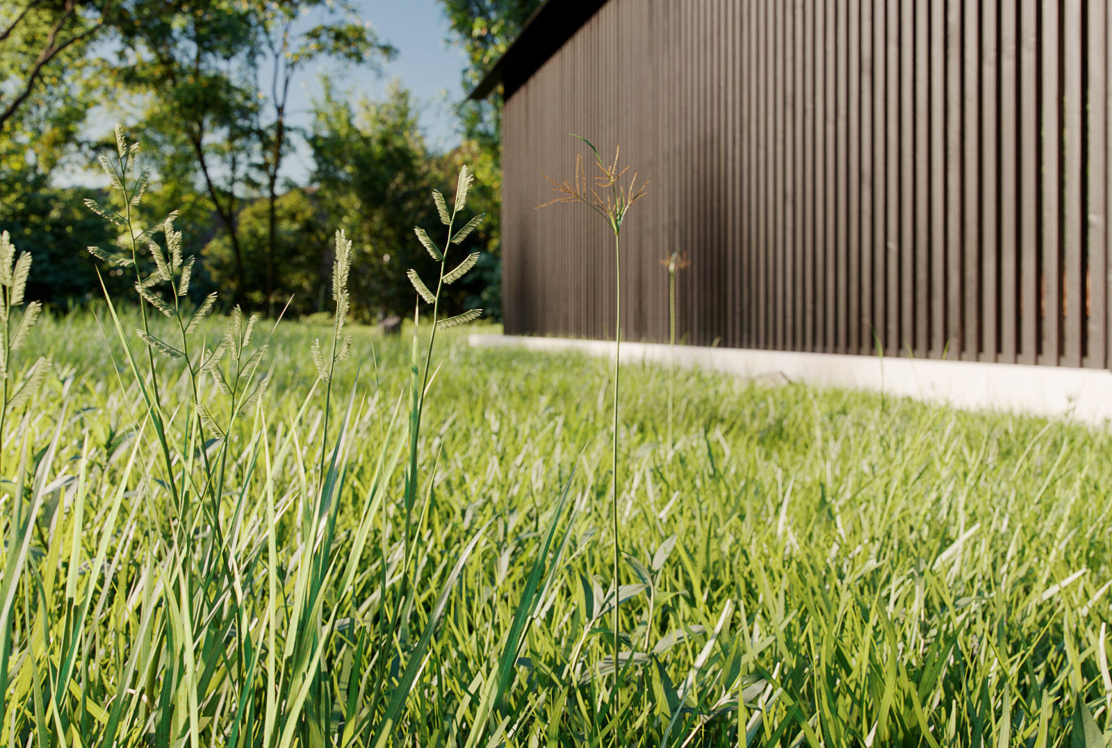 Small Tree Collection - Include GrowFX and Mesh file 3D model_12