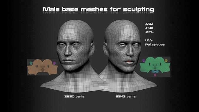 Male Head Base mesh Low-poly 3D model