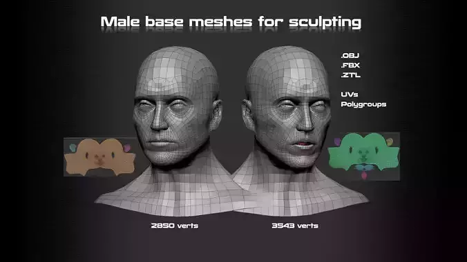 Male Head Base mesh