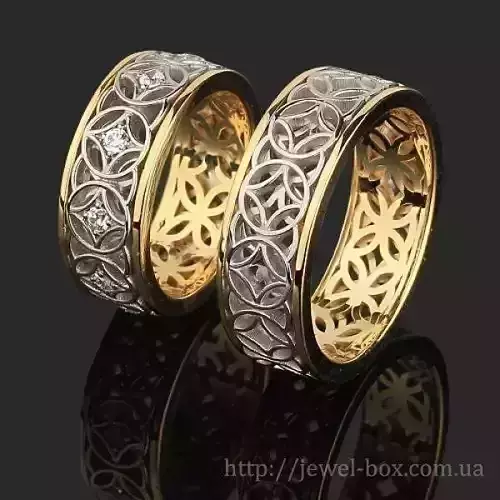 two rings 3D model