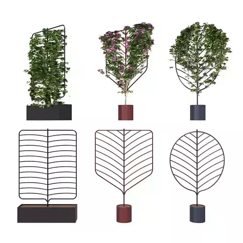 Decor ivy planter with frame