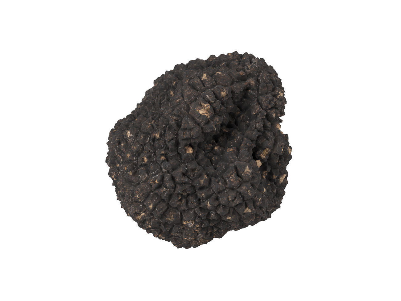 Photorealistic Truffle 3D Scan 3D model_5