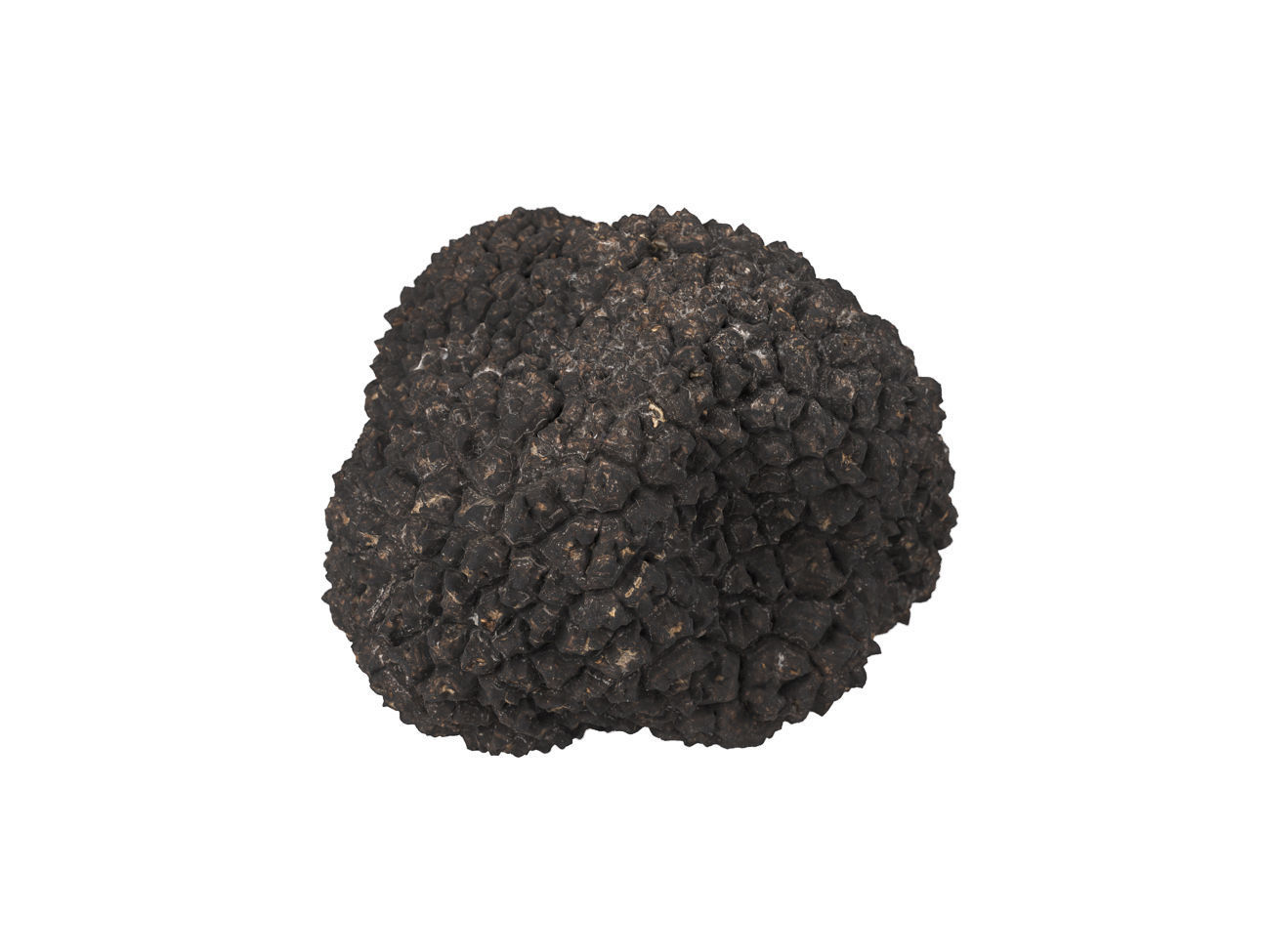Photorealistic Truffle 3D Scan 3D model_2