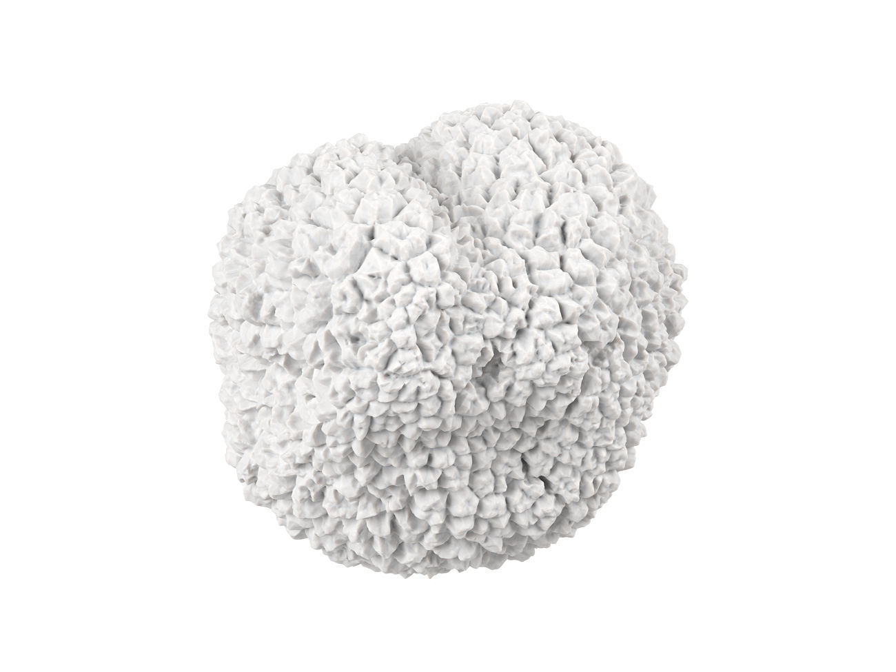 Photorealistic Truffle 3D Scan 3D model_6